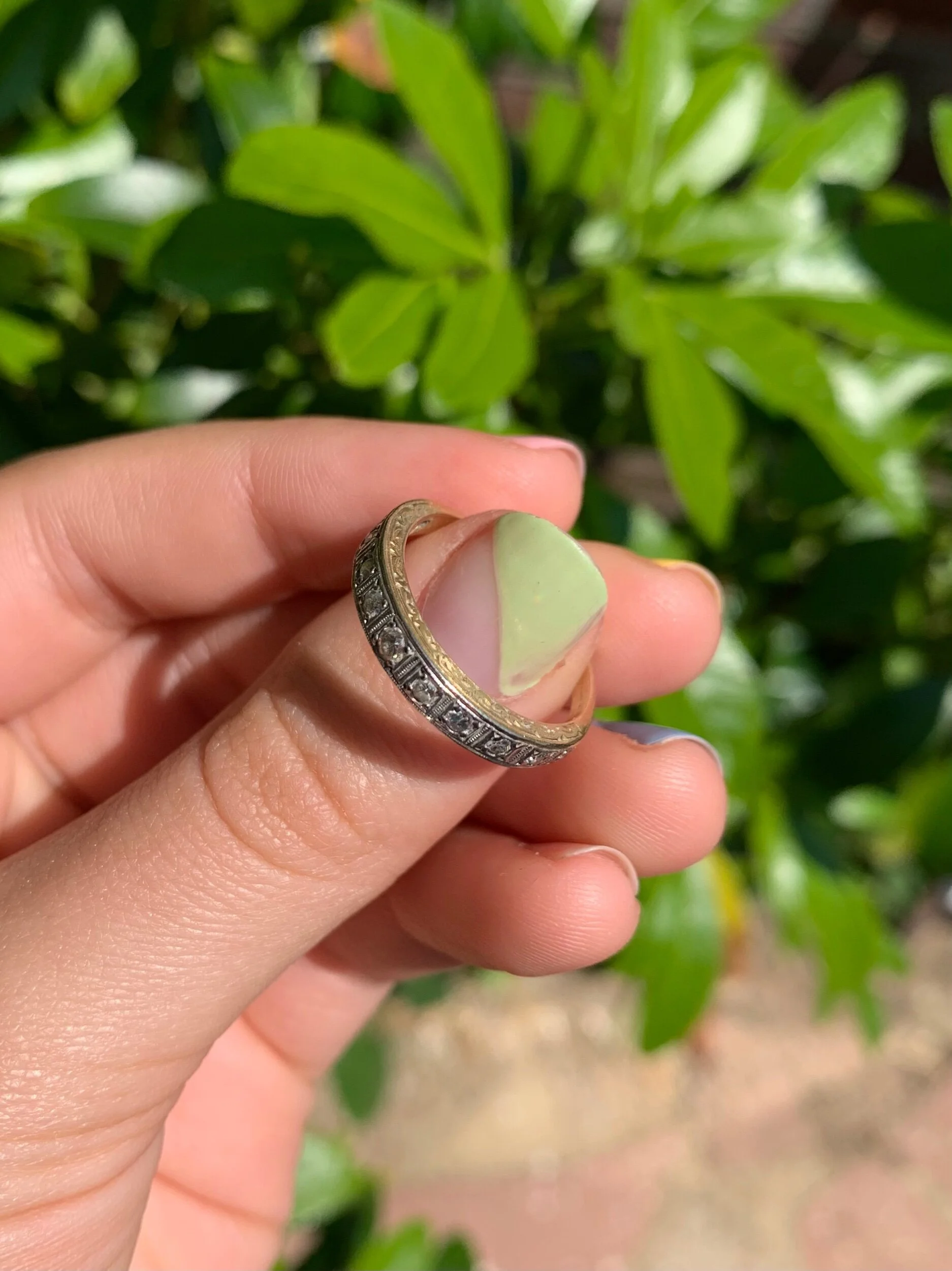 1FC3A1F1-2CE6-46A5-9BDE-E03CDAF23747