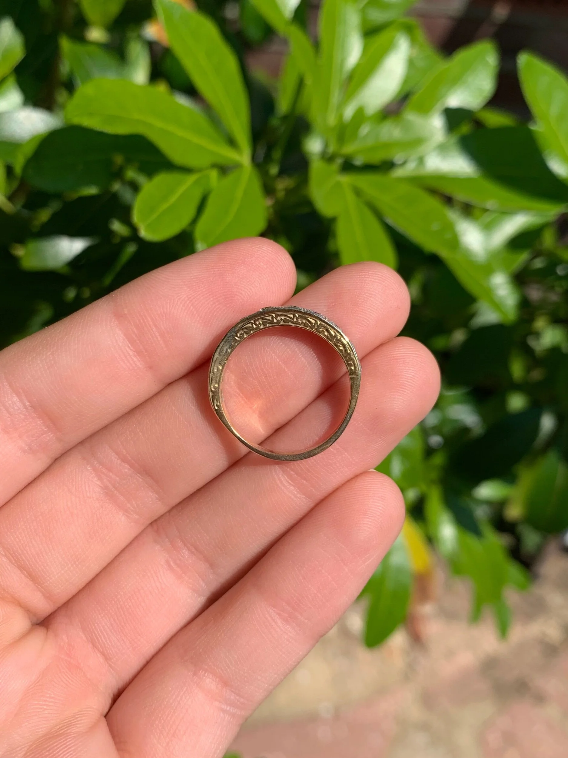 F11C8E2D-43C8-4174-A378-061FC2F411E3