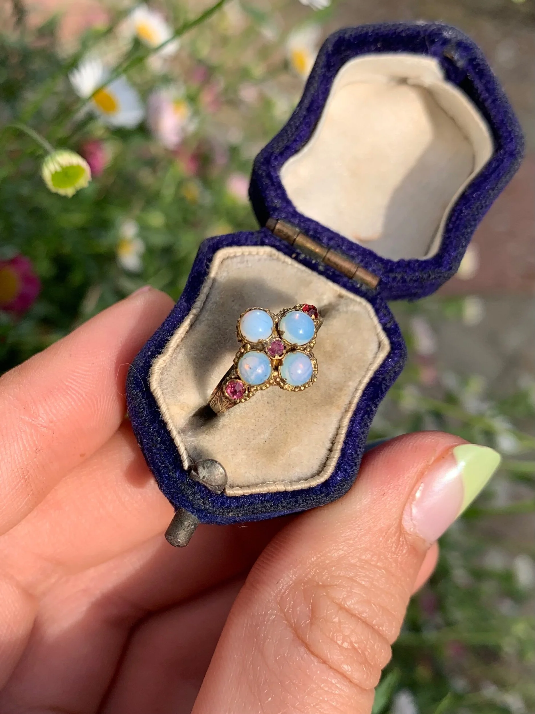 5F6F149F-68A9-4746-A047-0236B7B17154