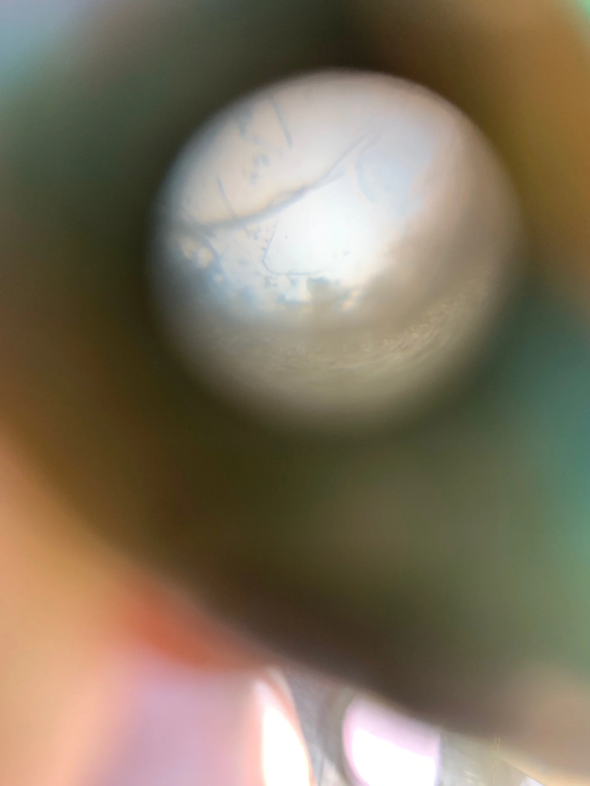 D88D5548-E4D0-49E3-94EF-62972CDFFFF7