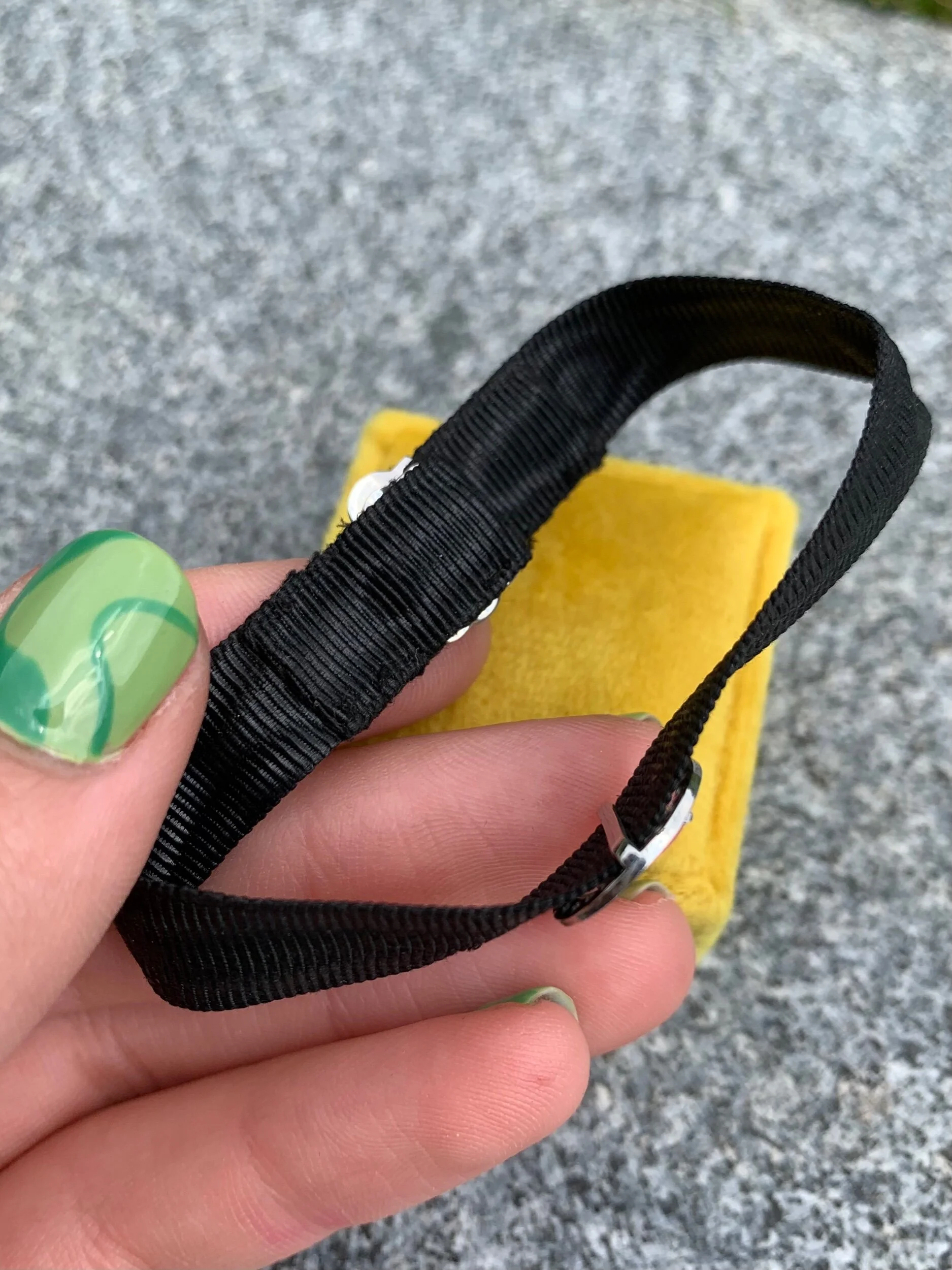 F0337321-2CB5-46D8-9F6F-F52425ED928C