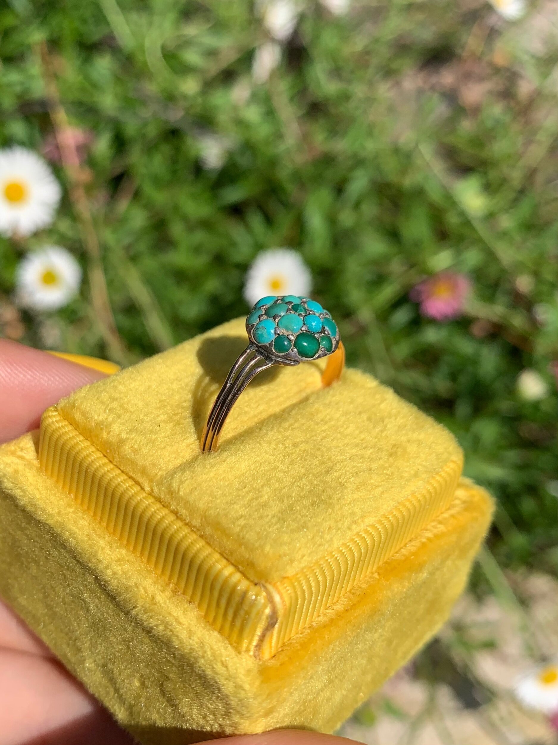 B0D5C712-DD98-41F5-A6D0-8181414692C2