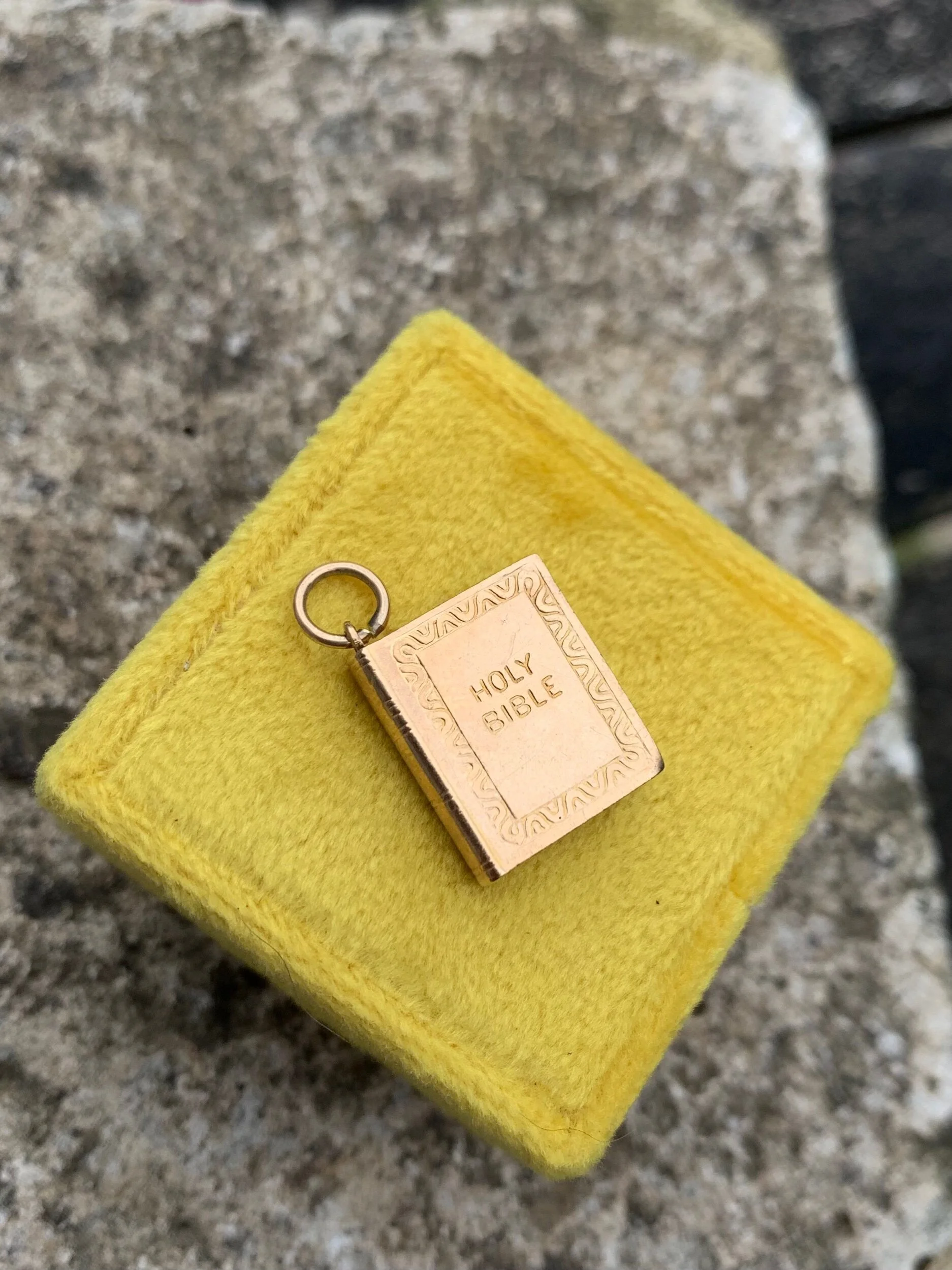 D9CE44C1-FE23-4B5E-BA49-73BBAF50AD78