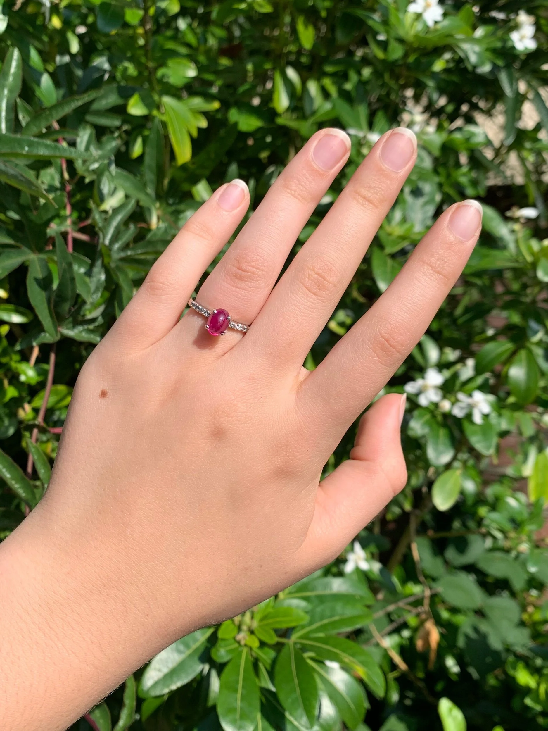 6EC58B7C-5557-4151-B948-95F09424F99E