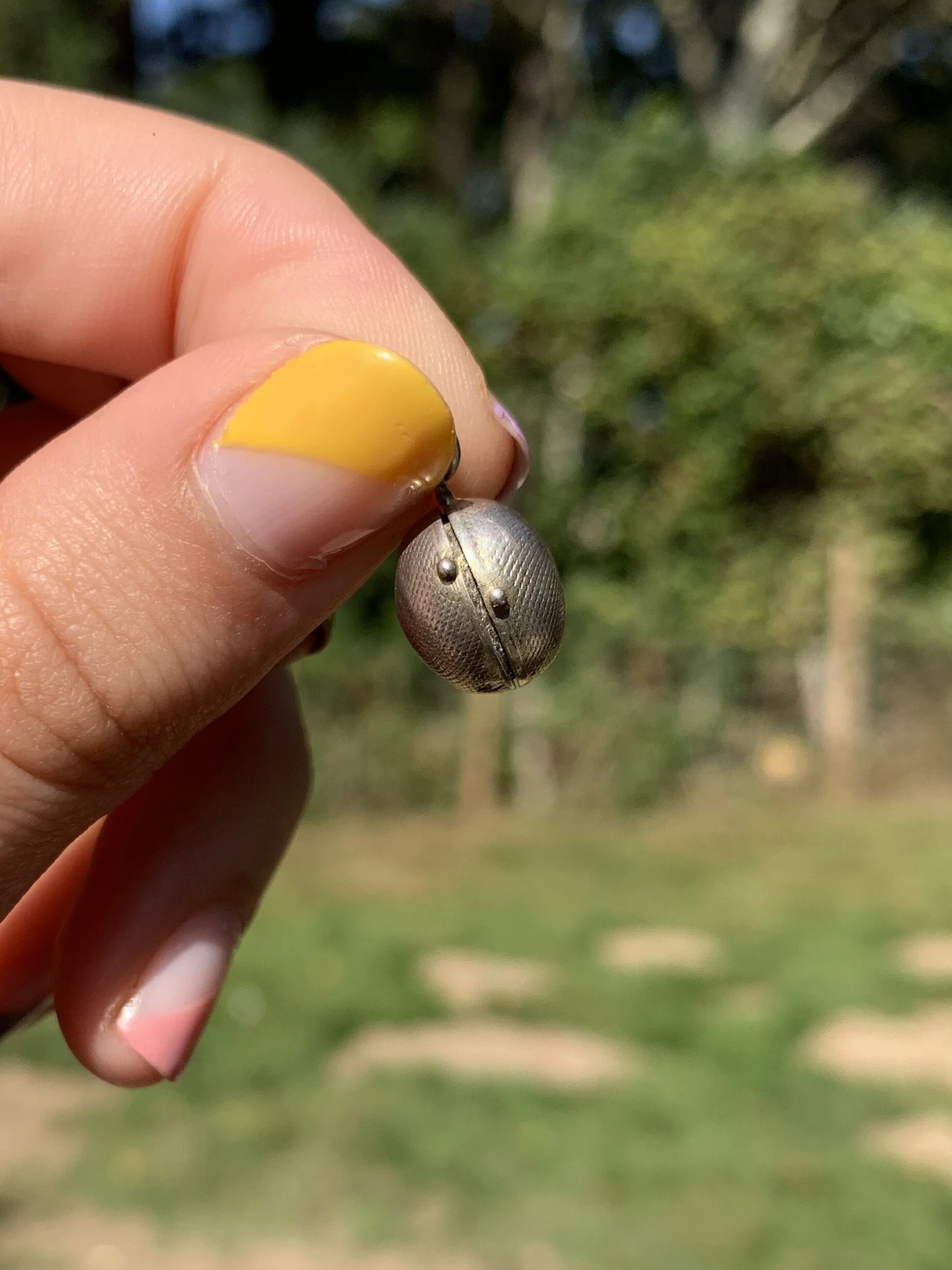 EB9B3A5F-91DC-41B3-BAD7-625E31E57E5C