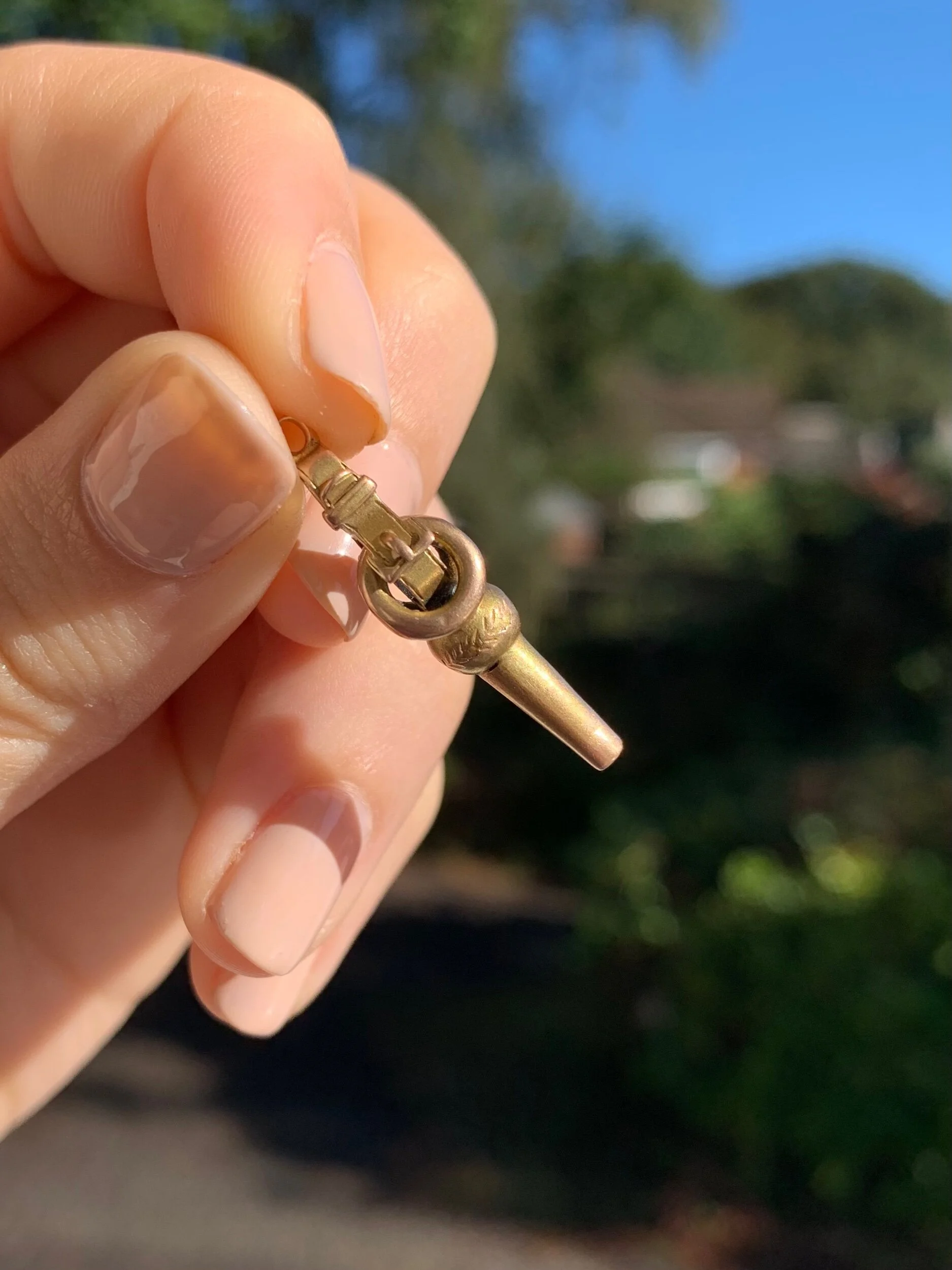 8ABF9DAC-DE48-46CB-96CD-092411CA1569