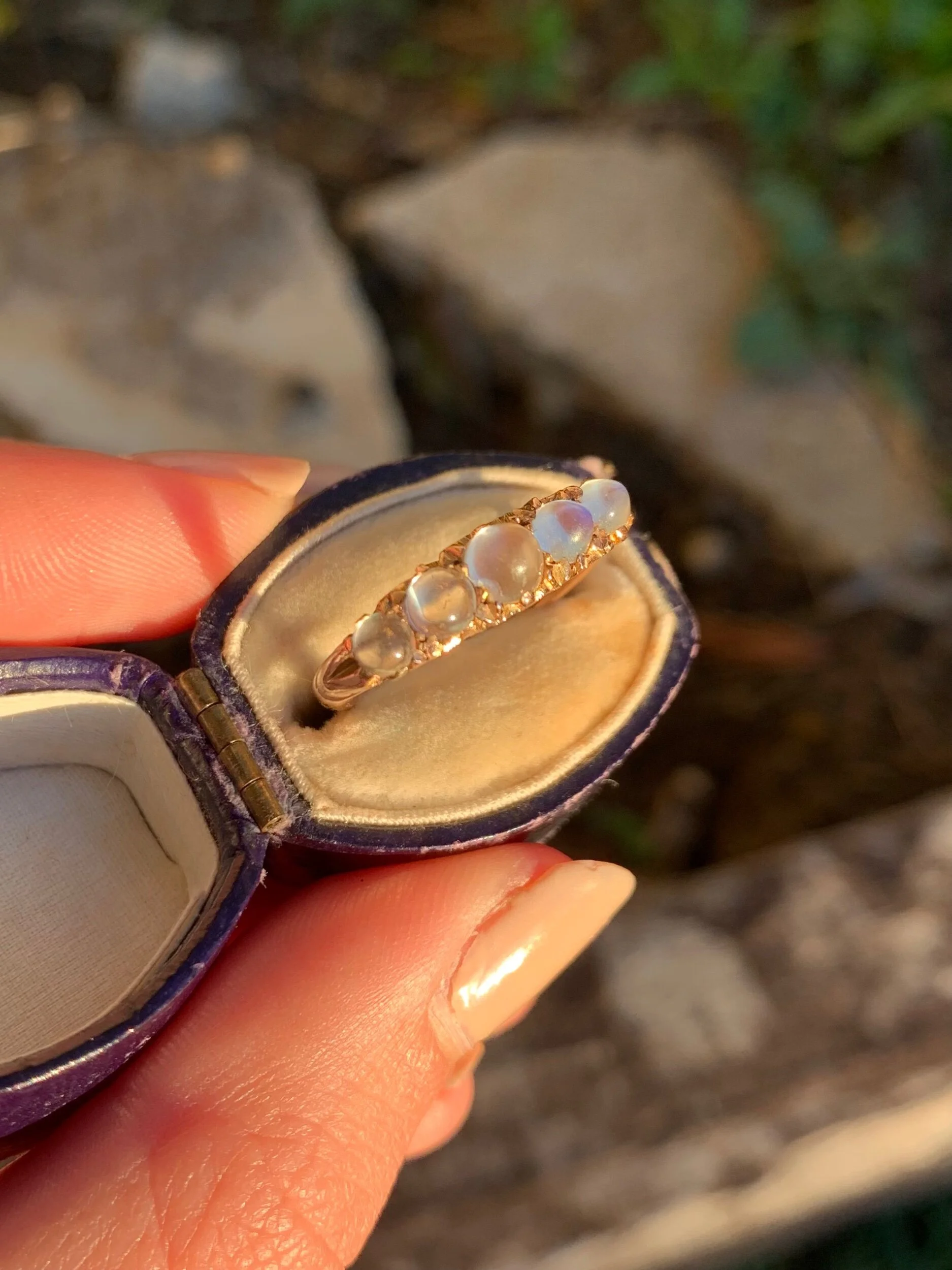 C91D2BF6-18CD-408B-A28F-C1A20B4A822B