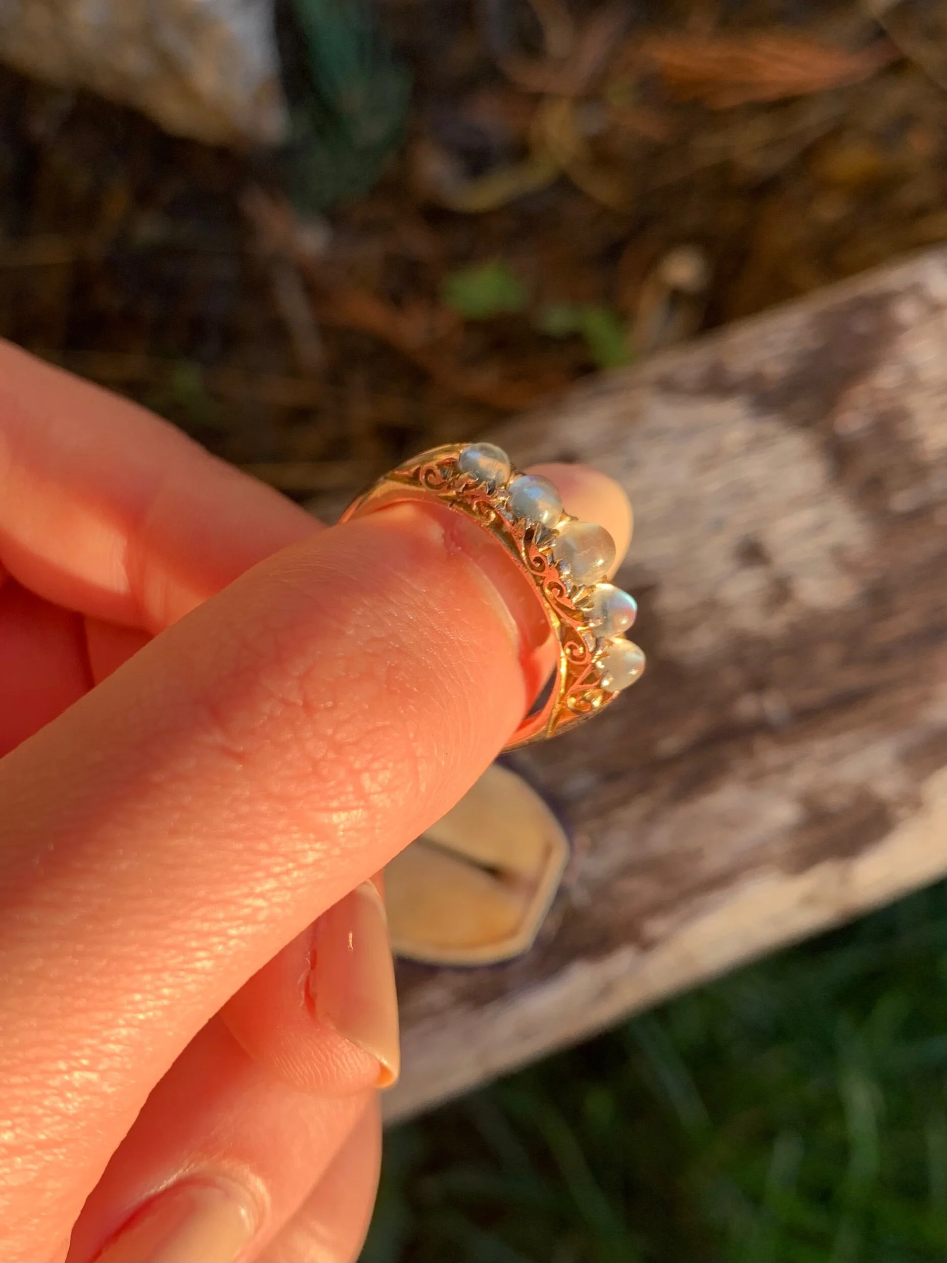 2CEACD74-A44F-4438-8372-B5644DC177FE