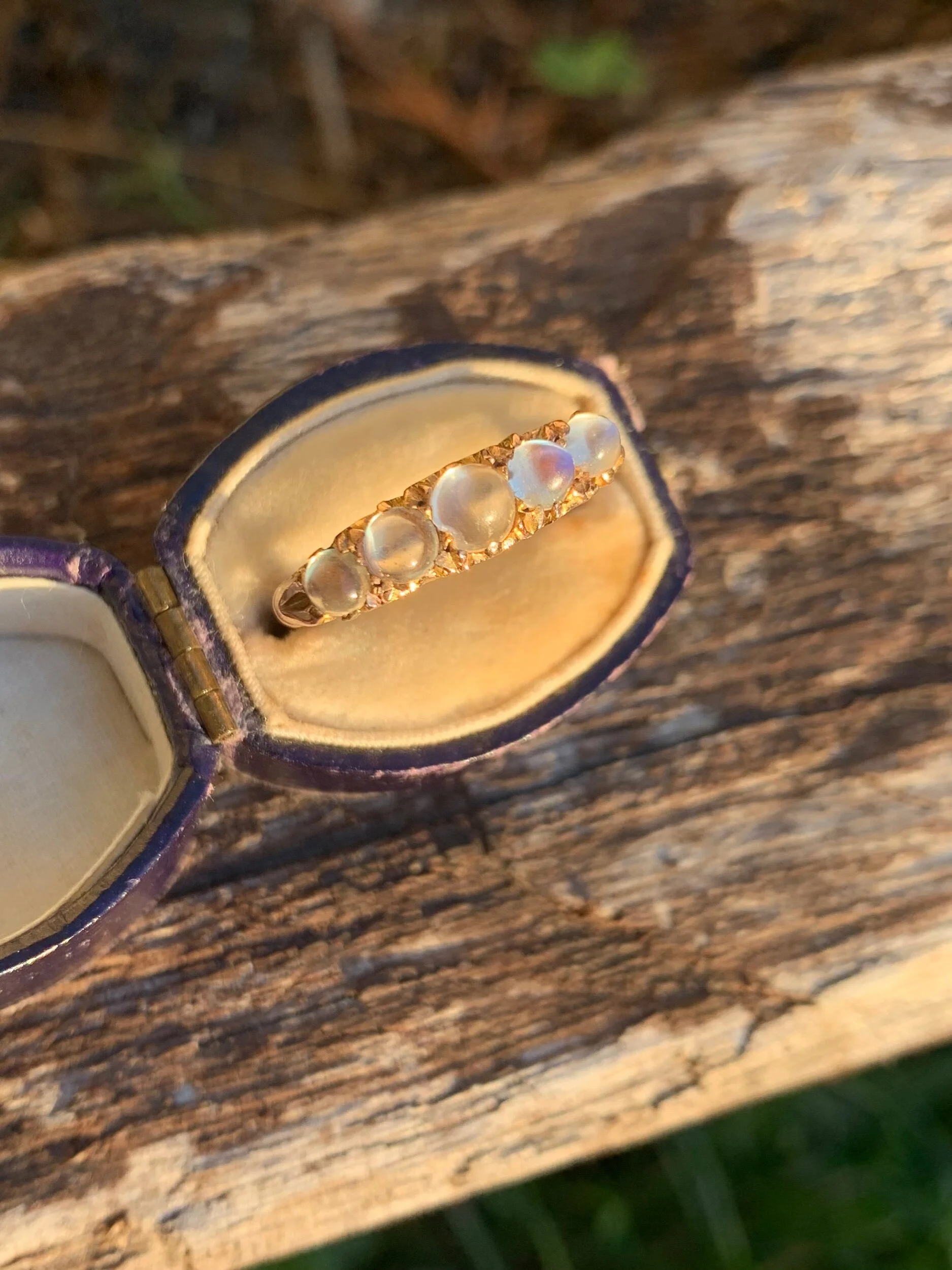 A4364E58-5AE5-4813-BB4A-E27D955A01F1