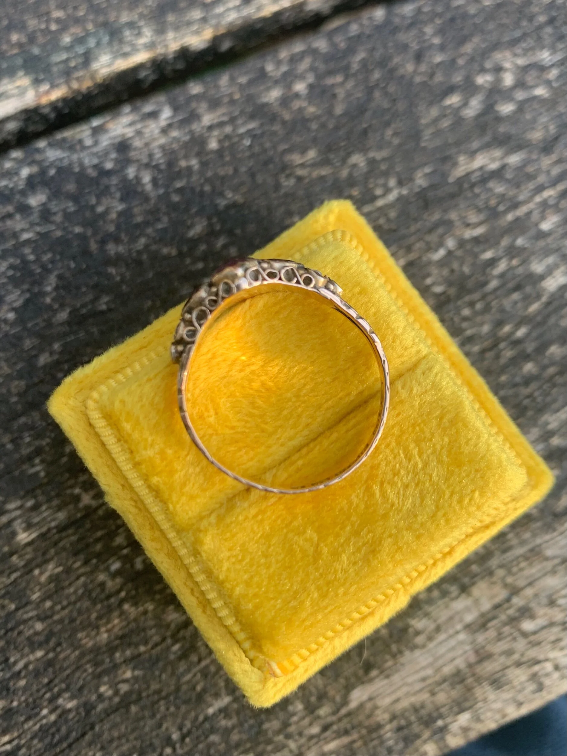 FEA5A72B-4CE9-439C-A34F-DD69F2C34917