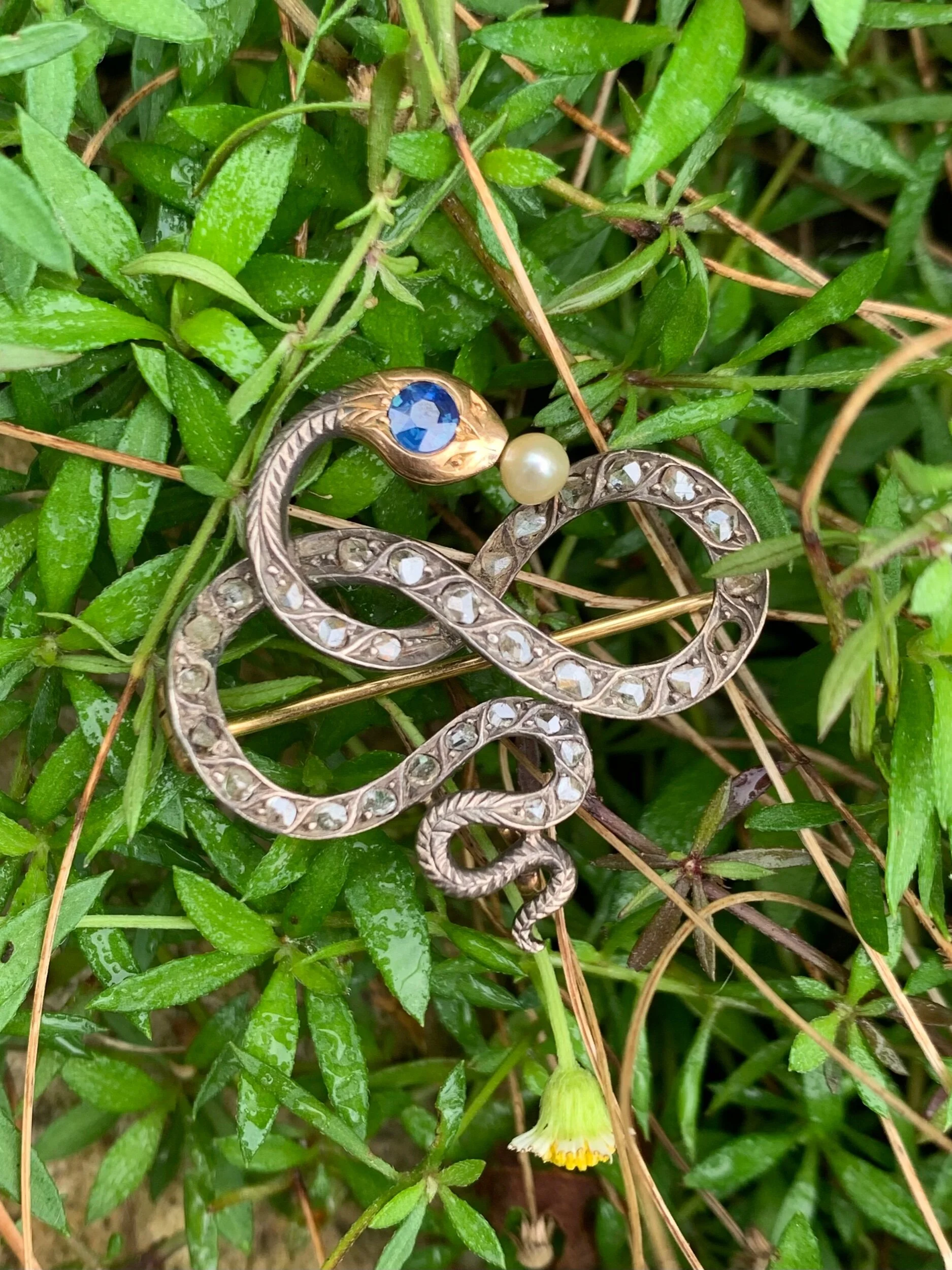 0925DD7E-8DD3-48E9-93A4-9B1751AC446E