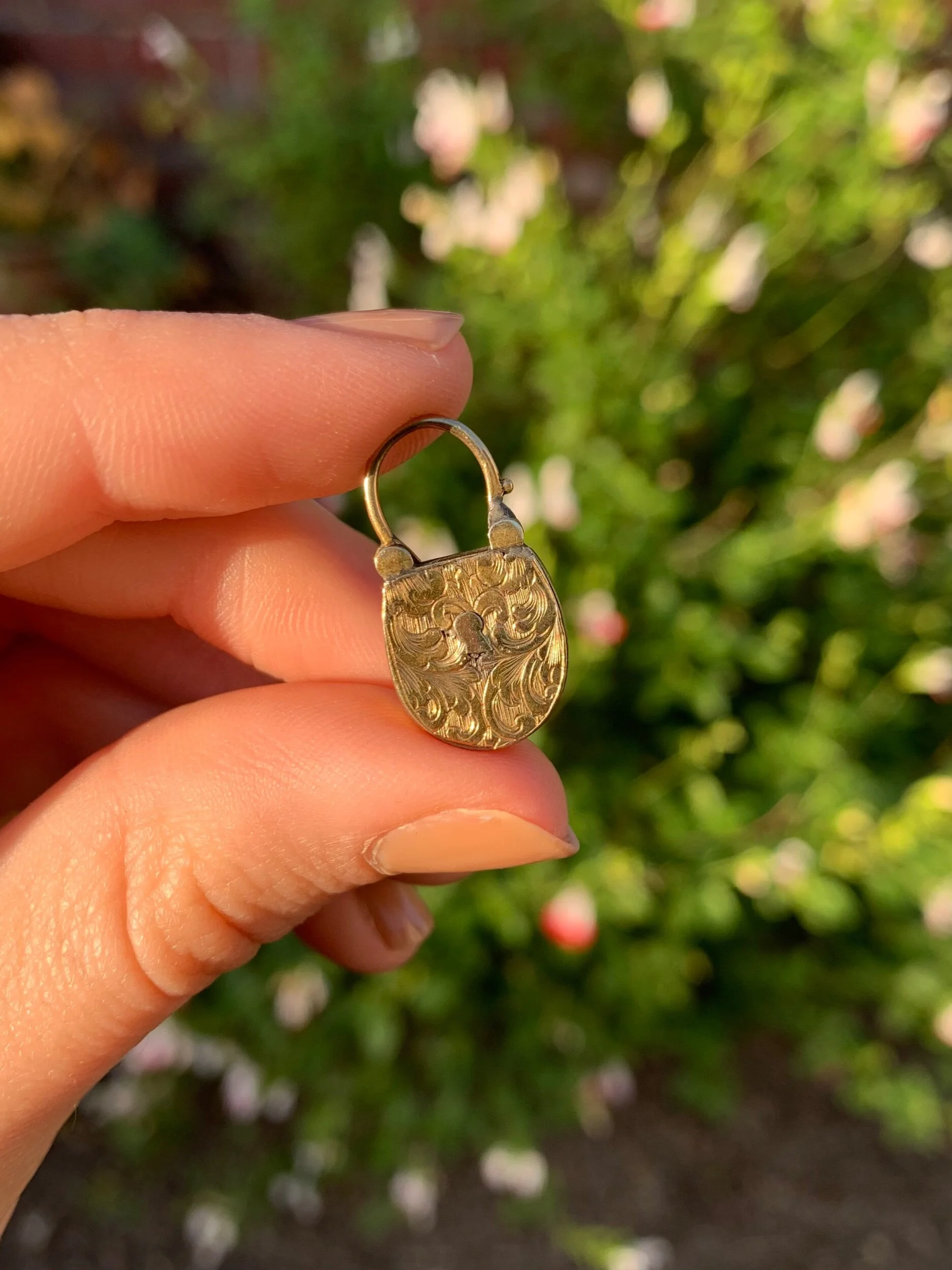 007FC586-0AEF-41A5-ABFD-BA83CD02FA46