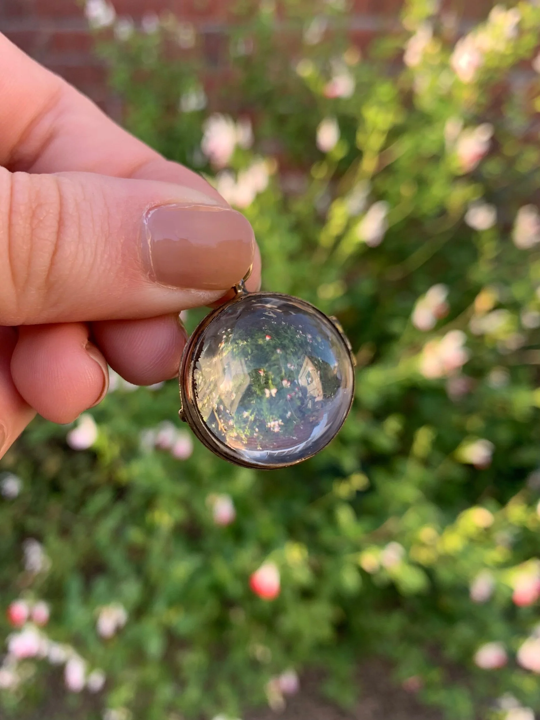 05C6A90D-C837-4B53-821B-CF8A2D2AA1F8