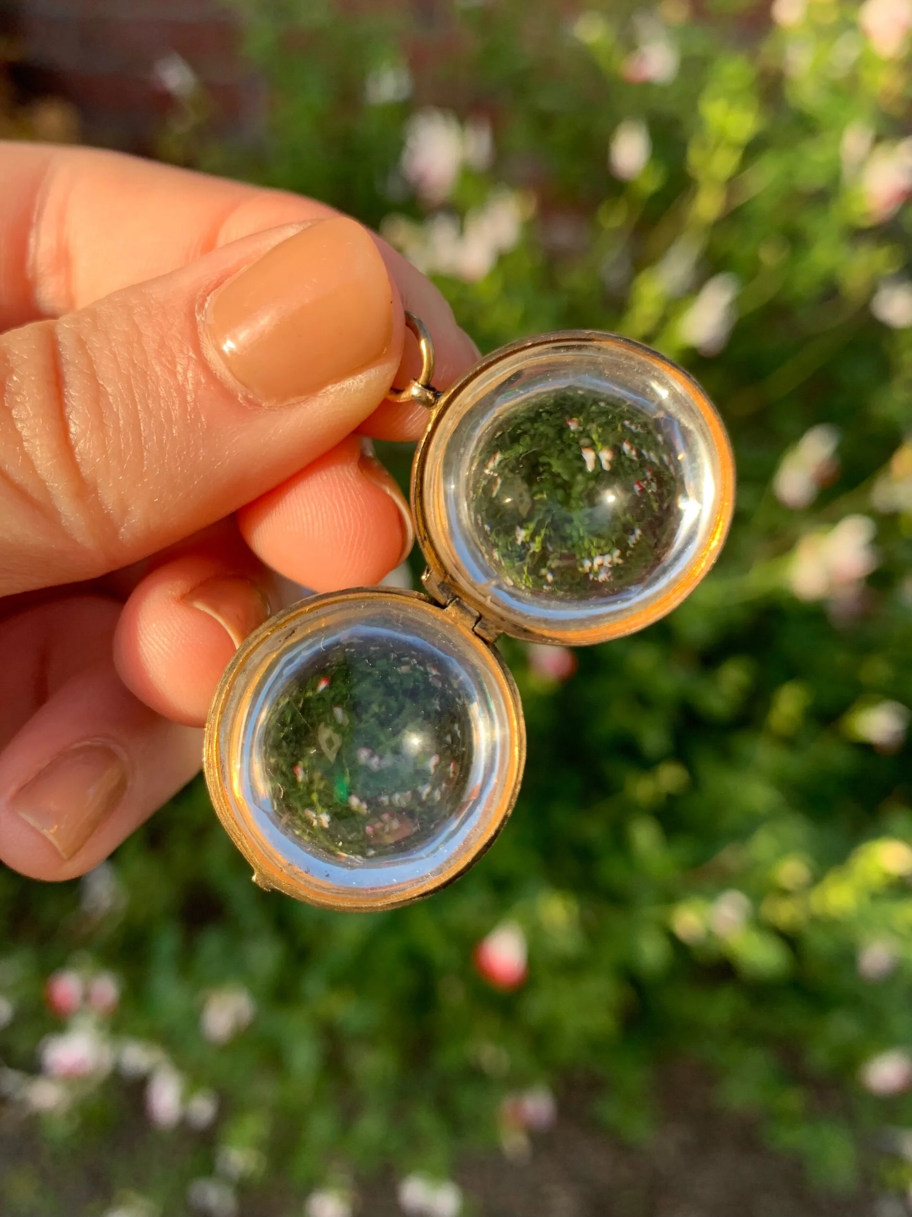 67E8908D-ED27-45A9-9BE3-84A2DA892D07