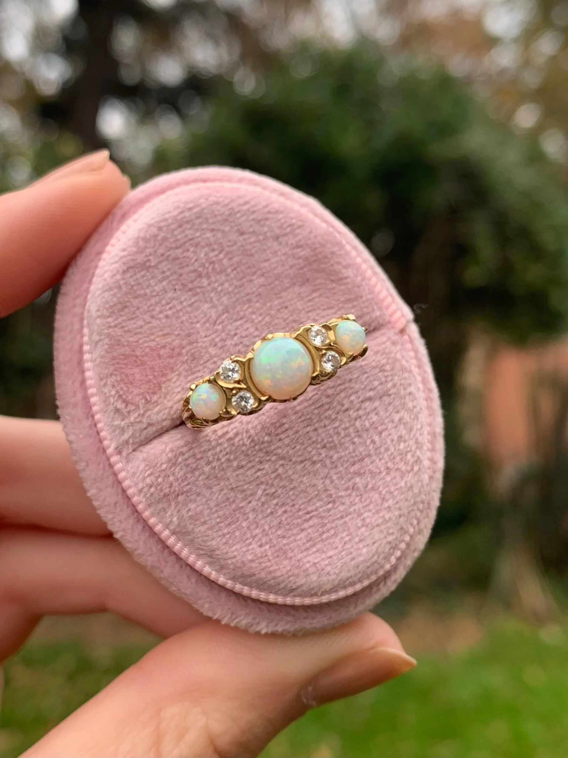 B7C0F7E3-CA72-44F6-8BFB-CB6F0EC100F9