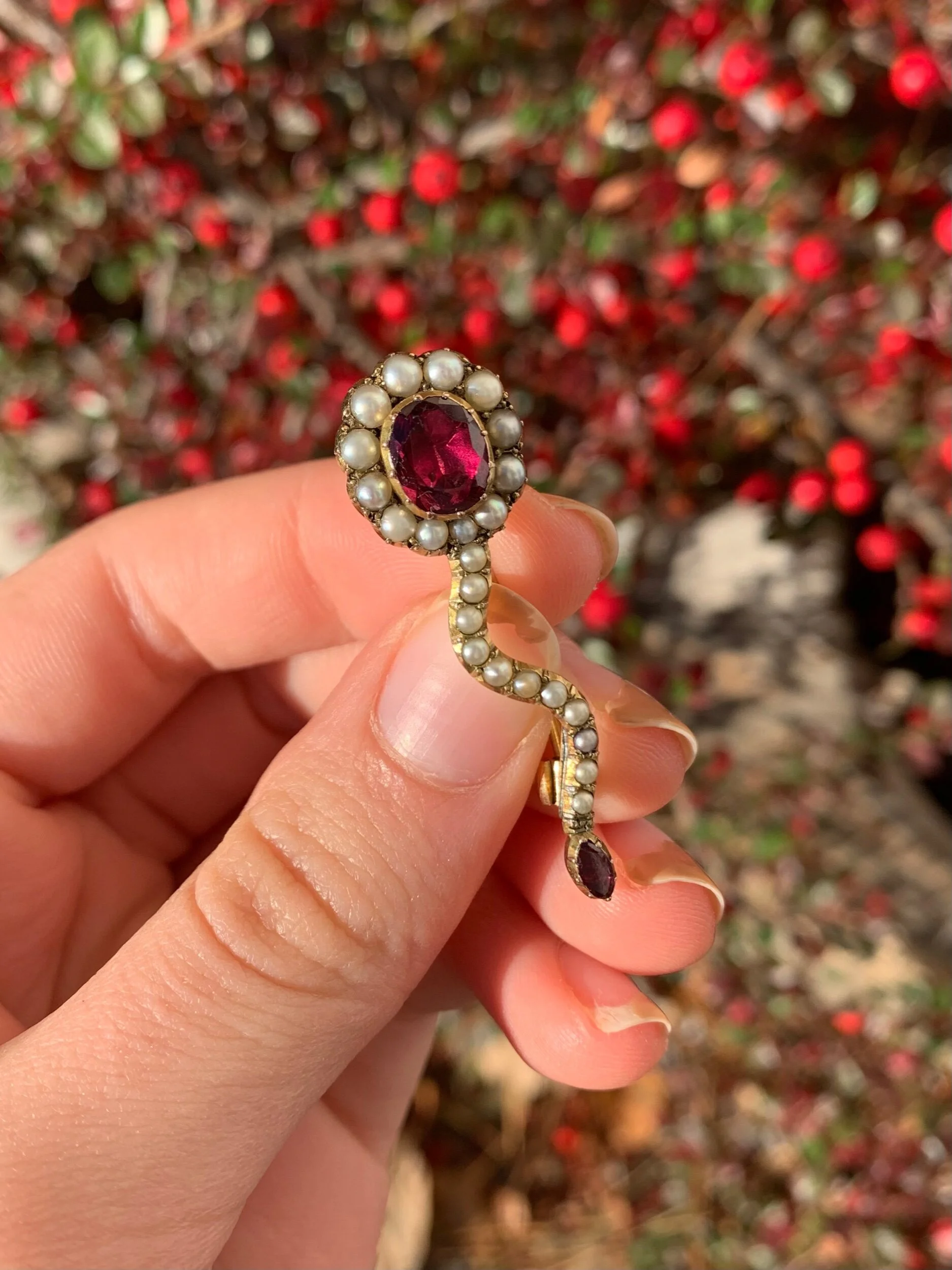 A41C7FCC-ABEC-4F25-989A-C99AB9FDD09E