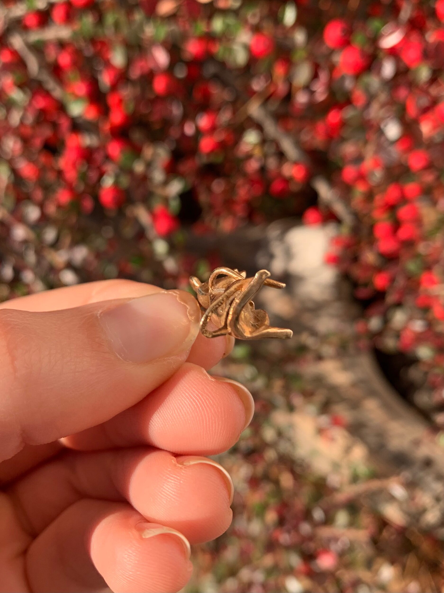 F95B626A-A389-433B-8D38-19C14EE8B45A