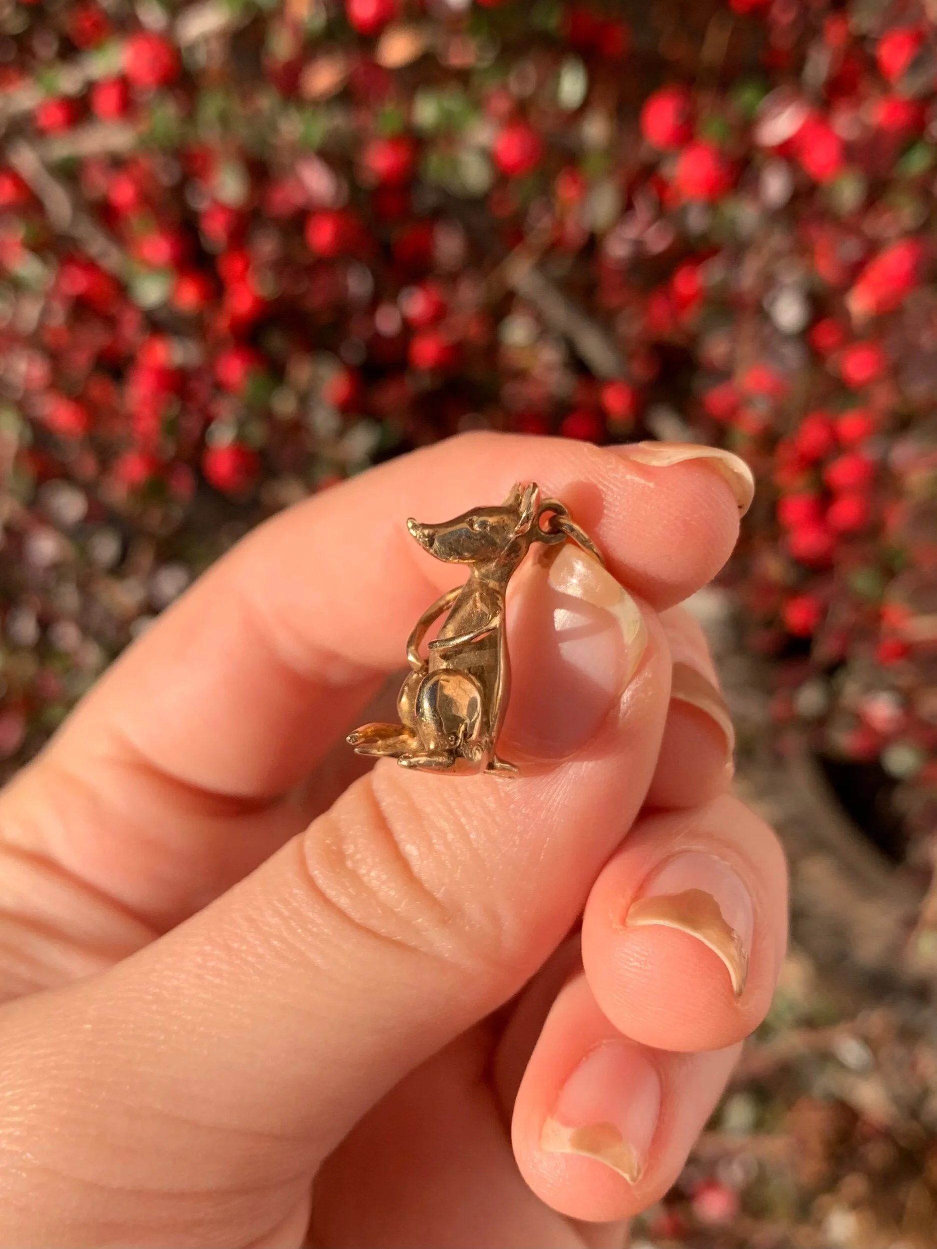 FA4F3B07-6365-4F72-9F66-8E35BD9620D5