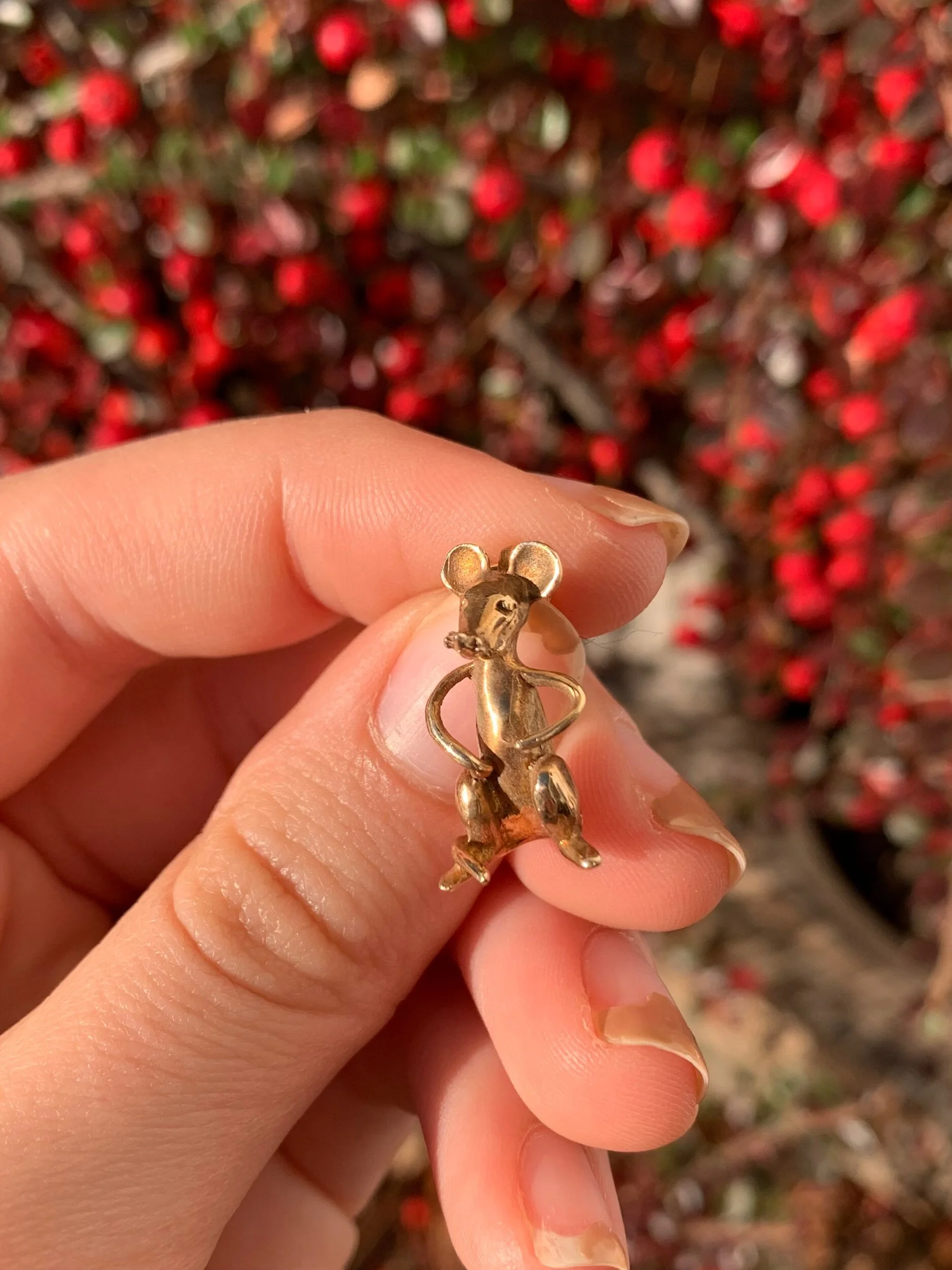 0DED19F2-73A8-456D-9F2B-314E1F738BEA