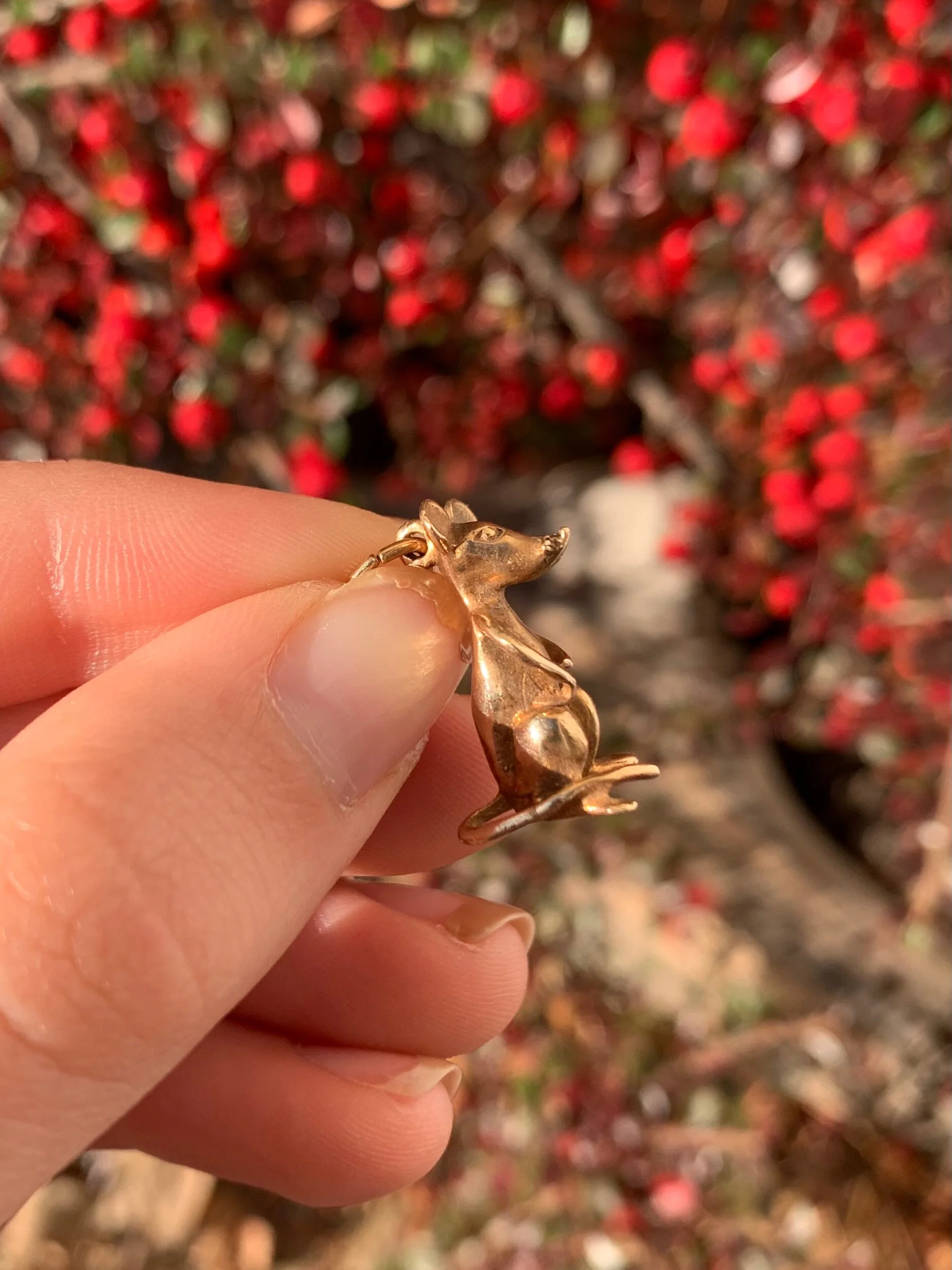 4EDFA082-72A1-4A62-8075-8A3F128F33DF