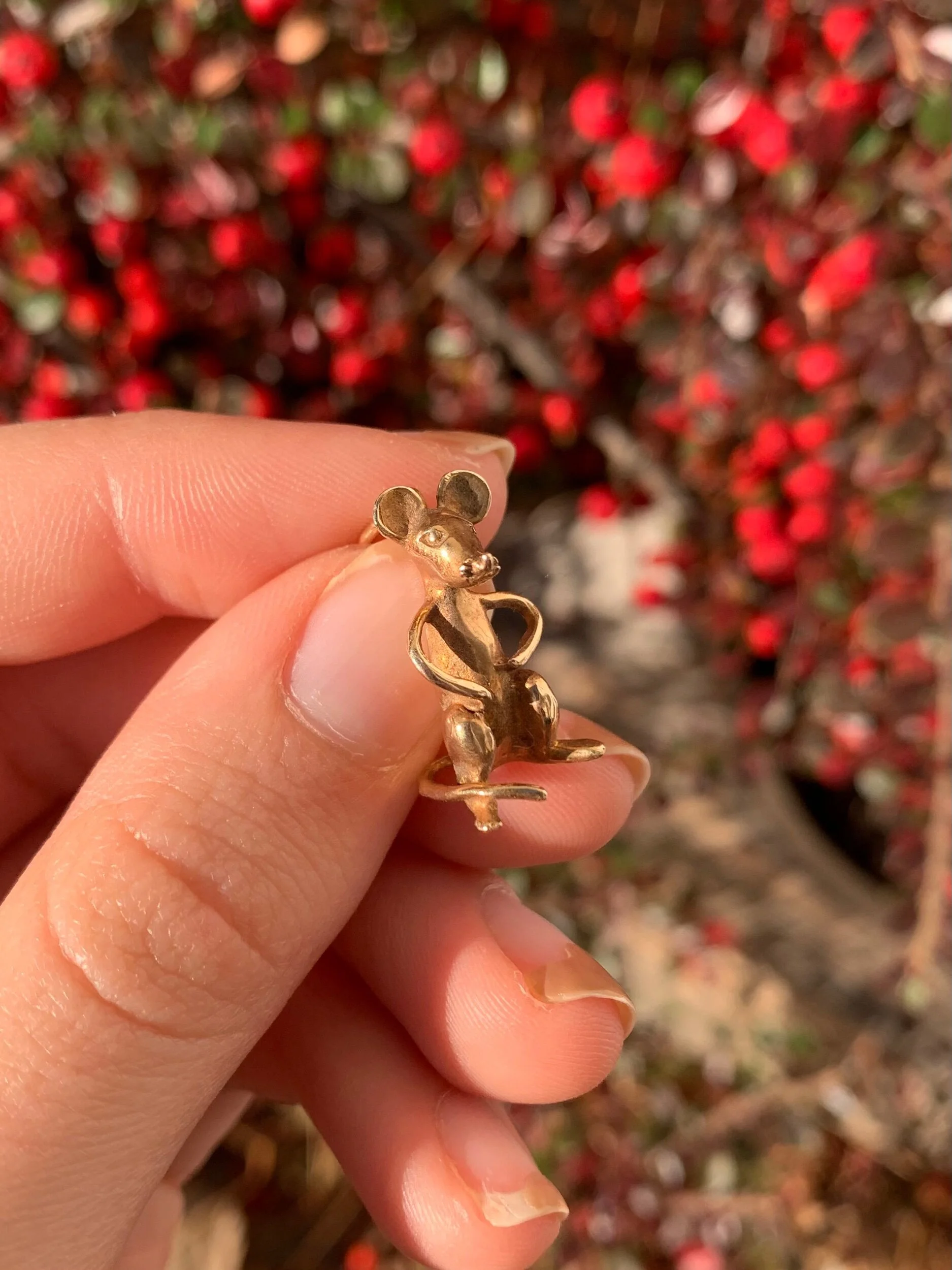 5AAF1113-C557-40DF-914D-97B6359D493C