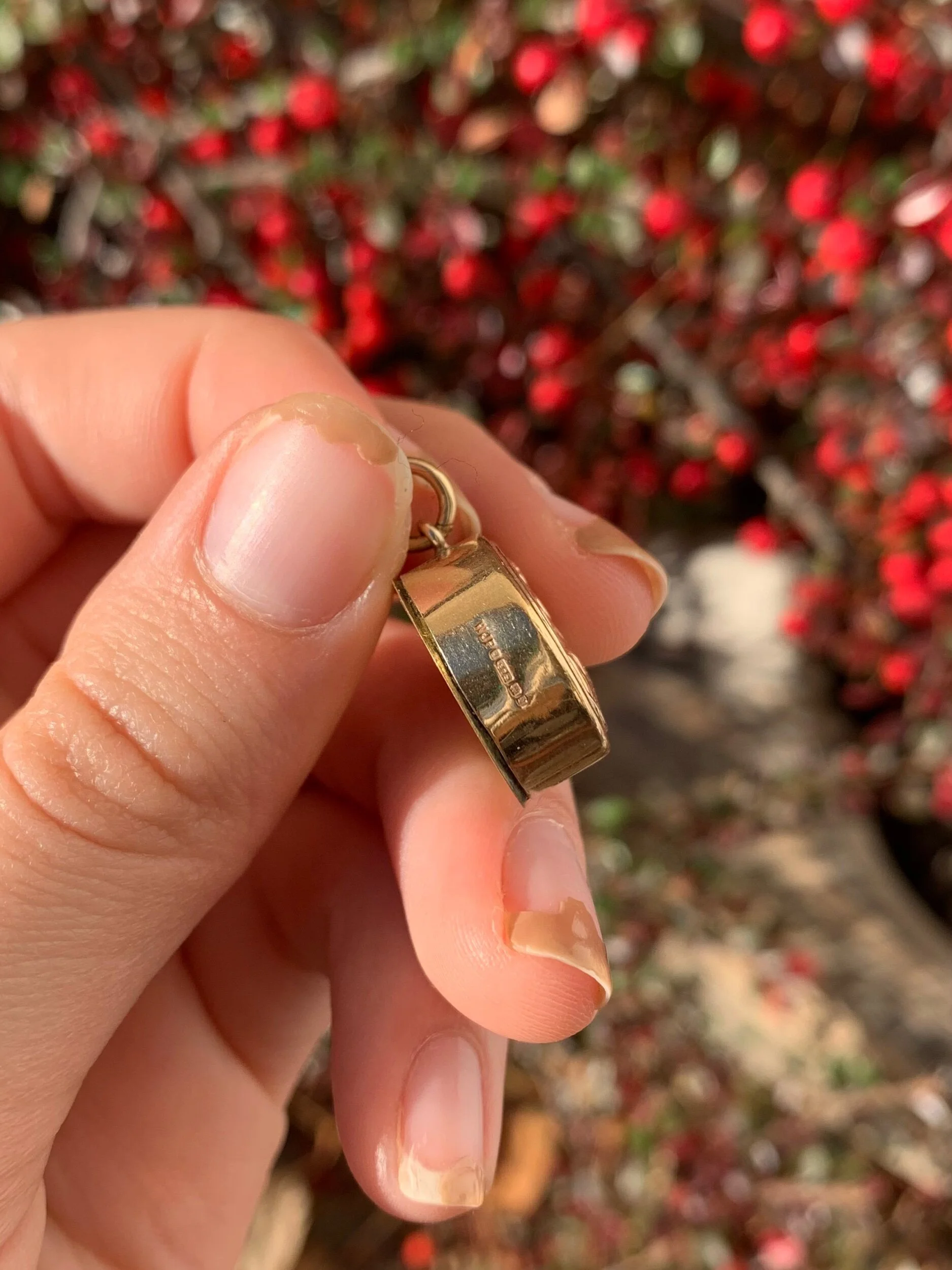 4240AD6C-0331-4106-AD72-BE26FE5976BC