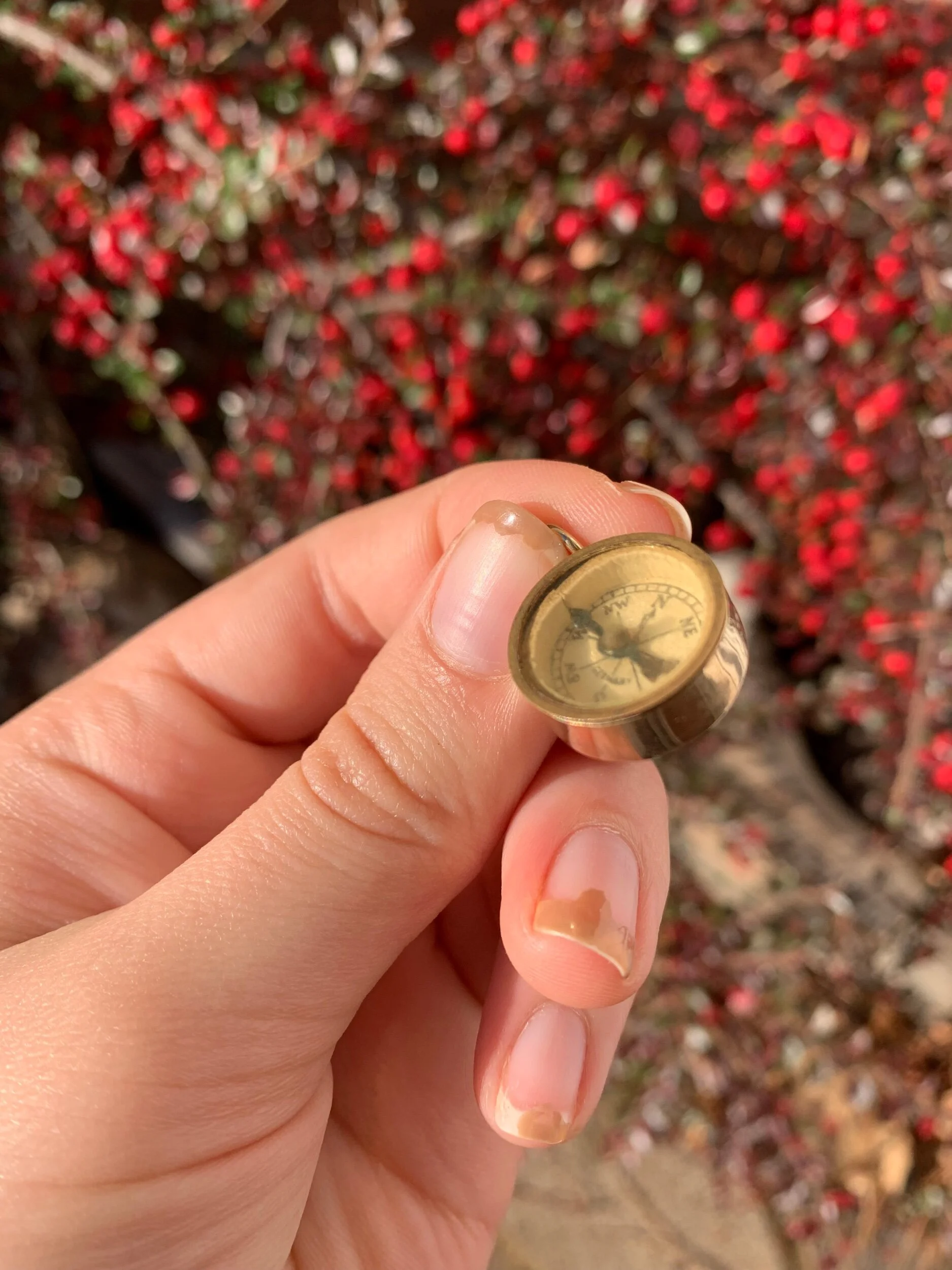 877B5326-4BF3-40E4-BDB1-3CA5964CC1E1