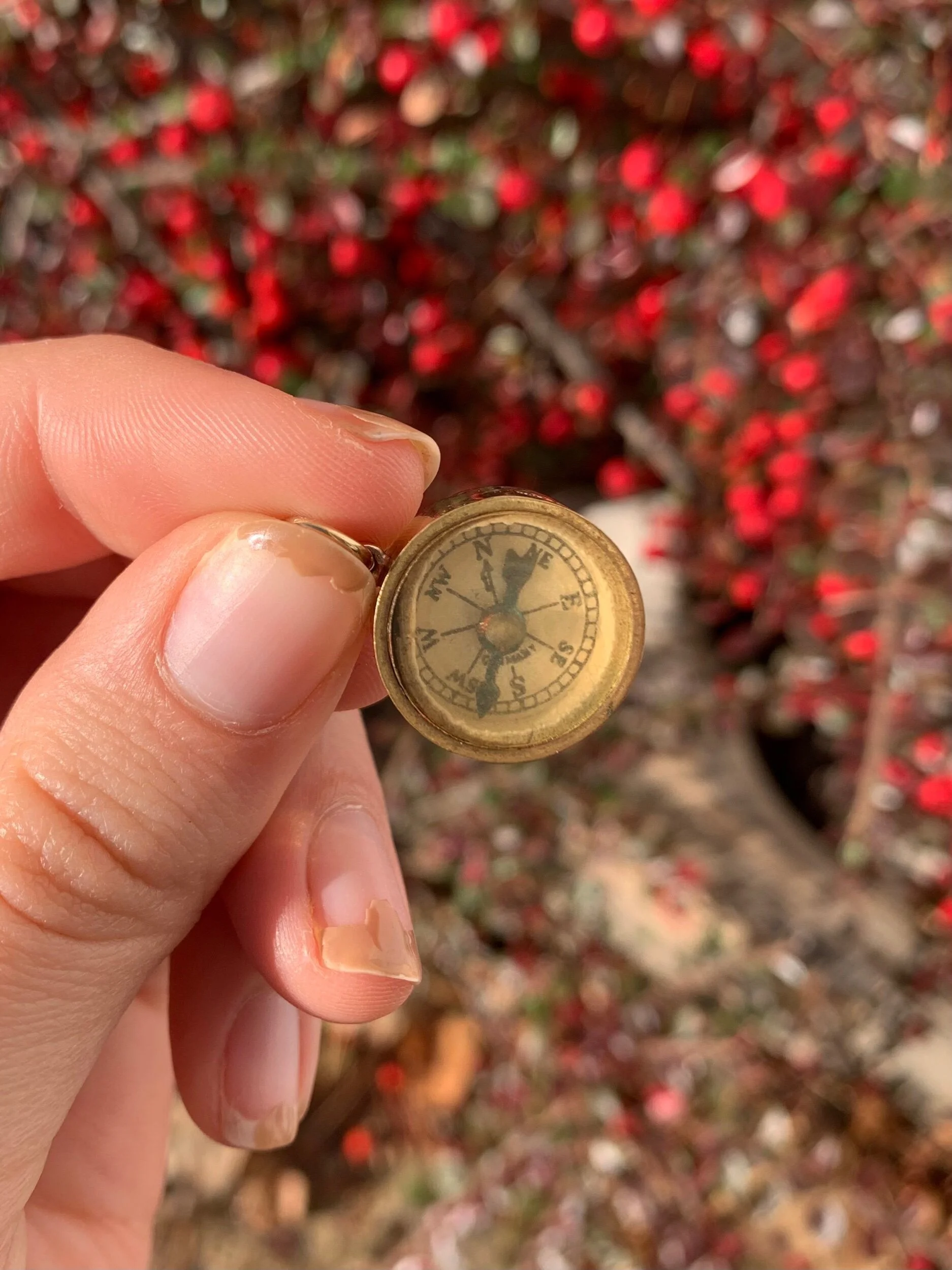 4C93935C-7FF1-4DB4-84C5-5E18D267E9F2