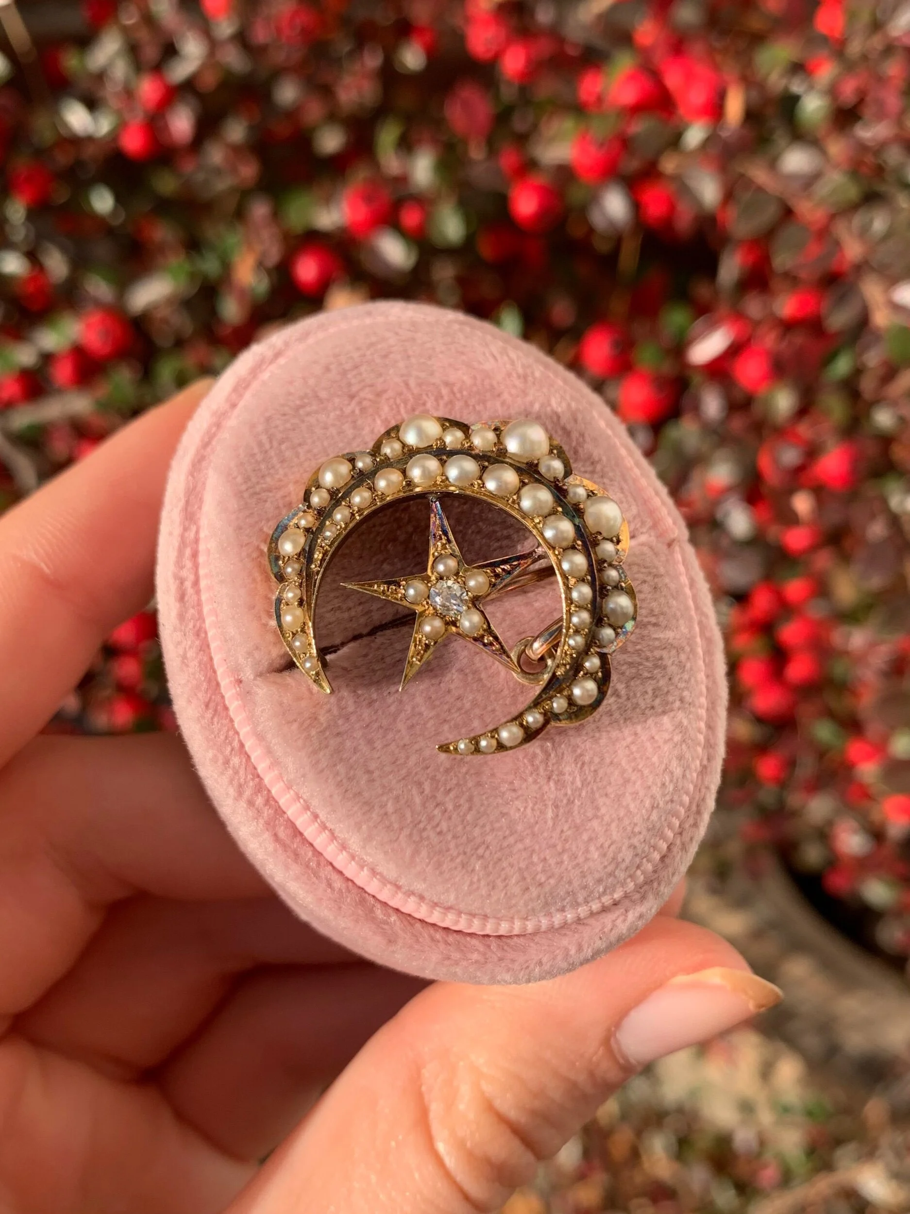 3F082216-EAD8-4A6E-B6FC-16D630839484