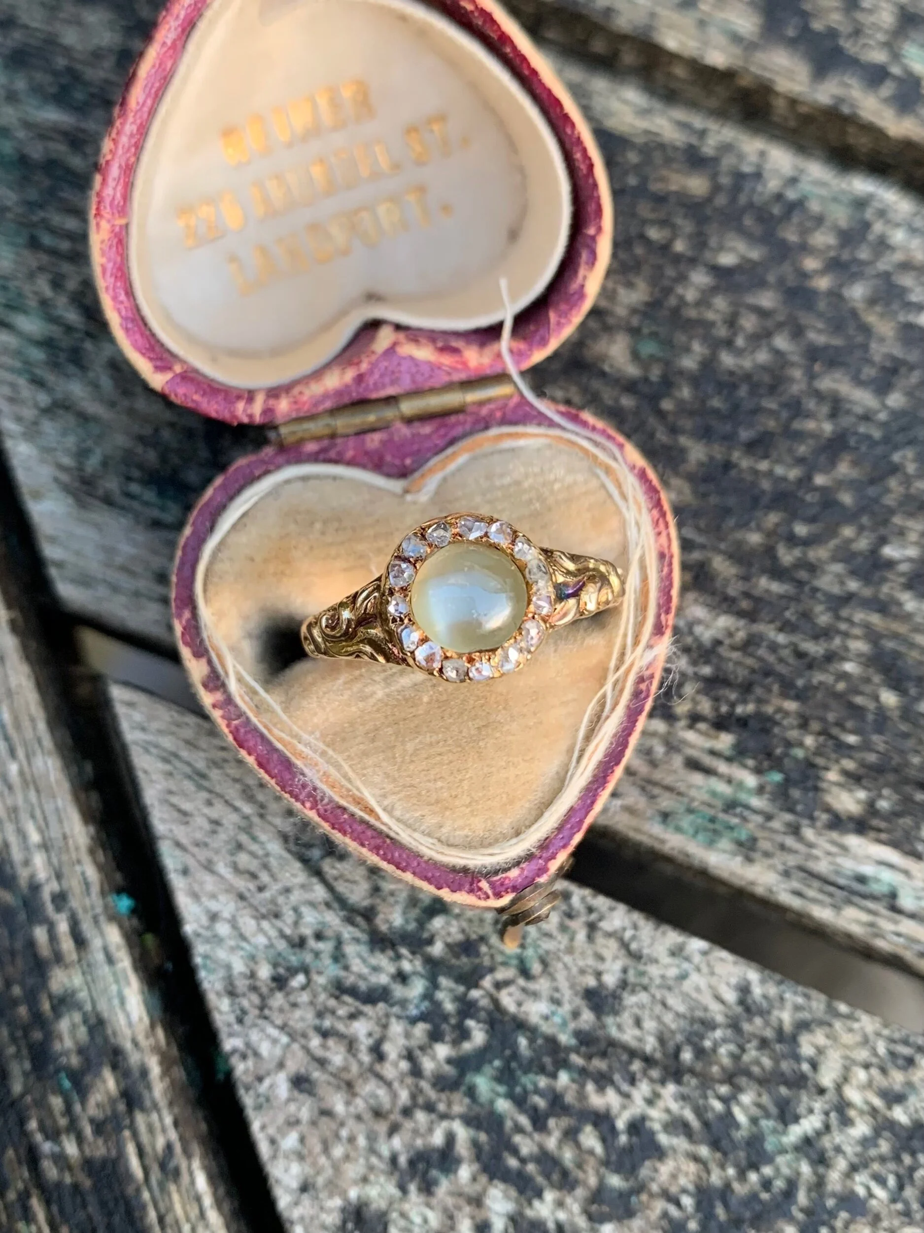 6498FFCD-F572-46D7-9E99-FDD816D337C6