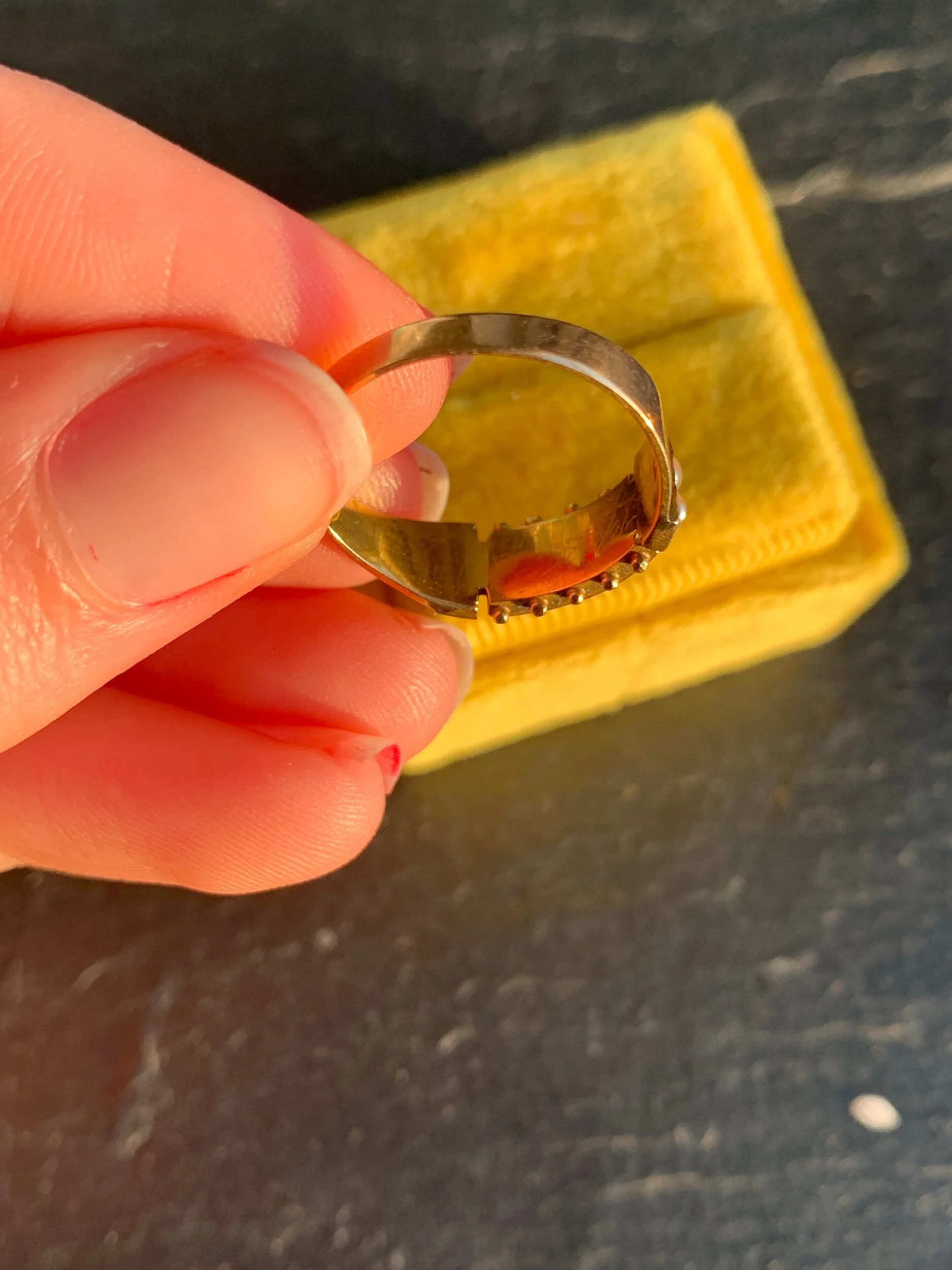 1D9CA62F-AC39-4402-BFBC-6FF5D56A39AE