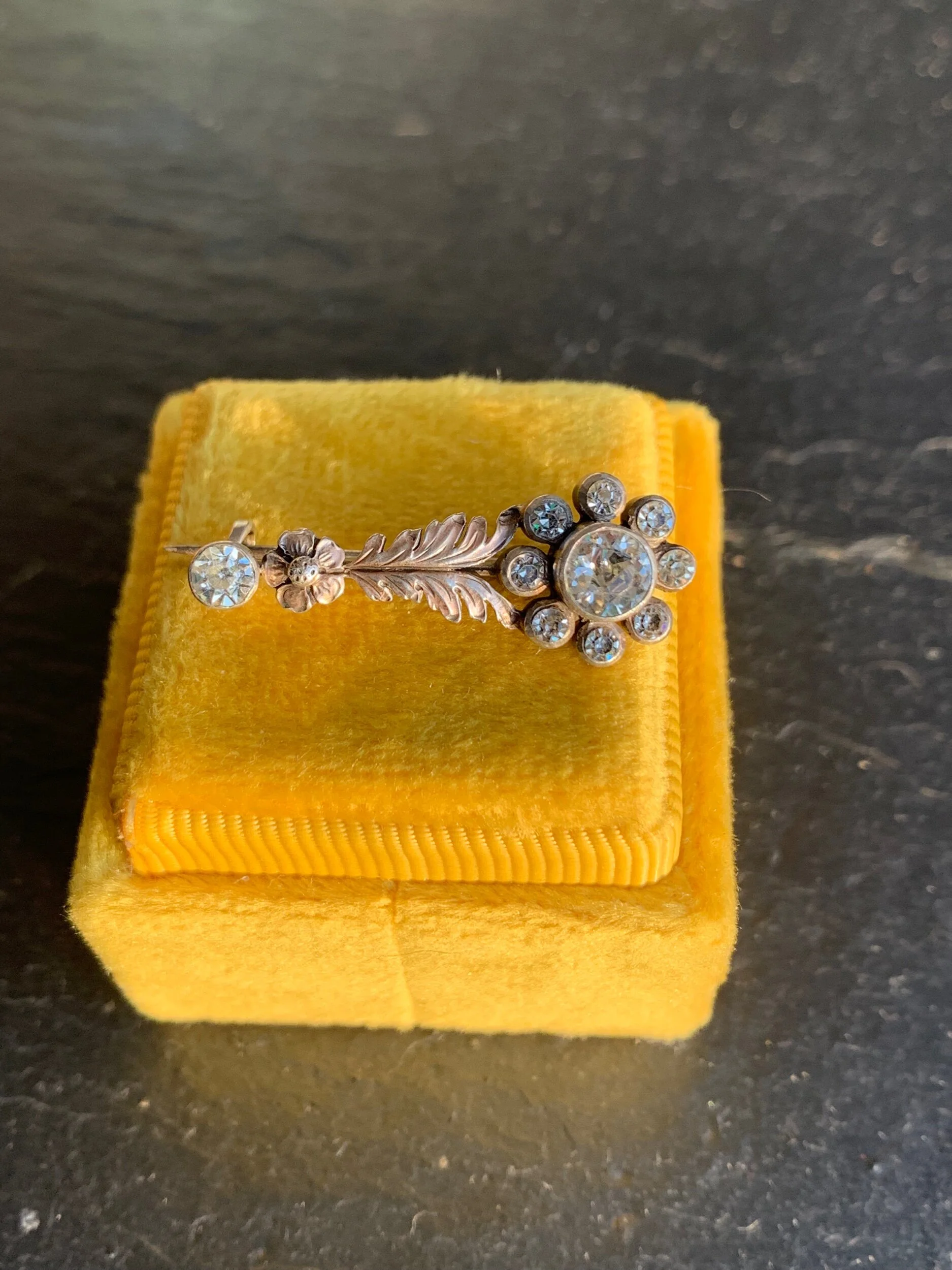 03CA9900-BB2E-44E9-B08B-EBF940C622CE