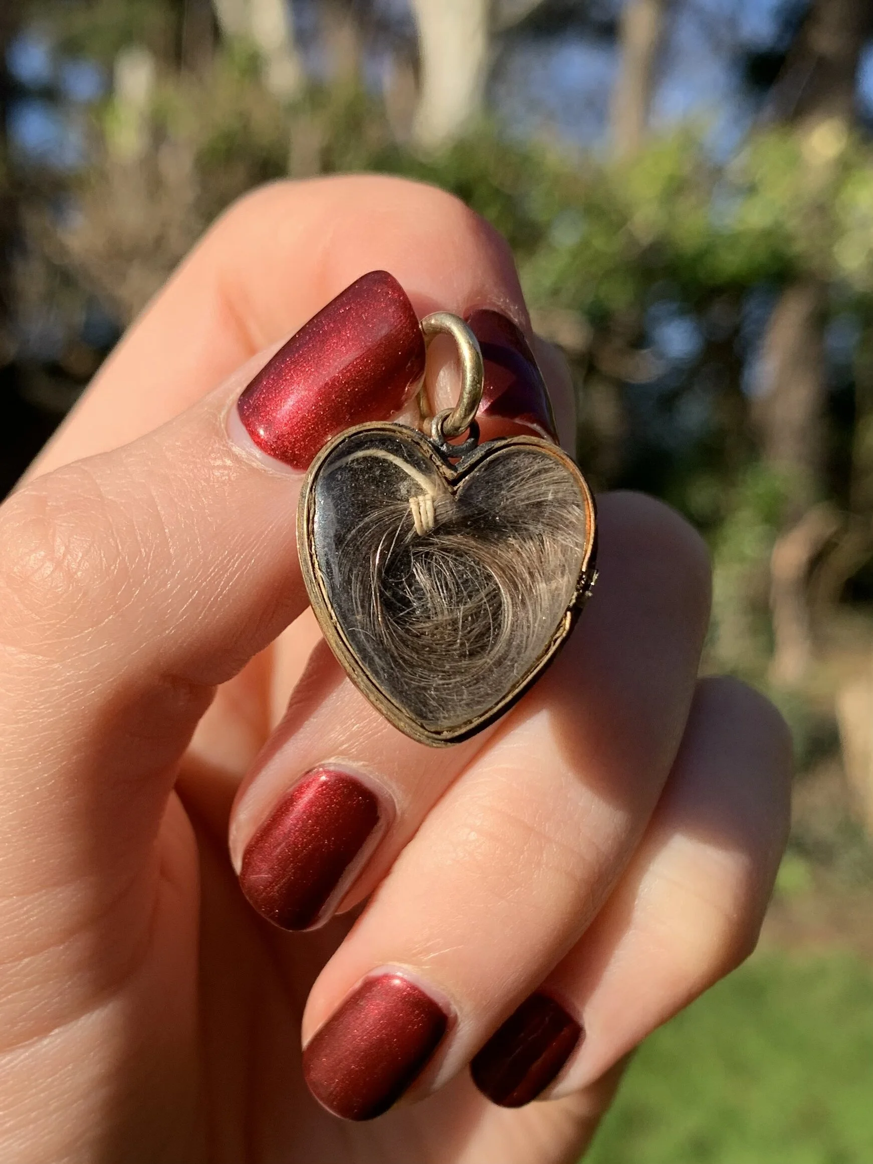 81BDBBE4-AC45-4046-8B1E-94E5D79494B4