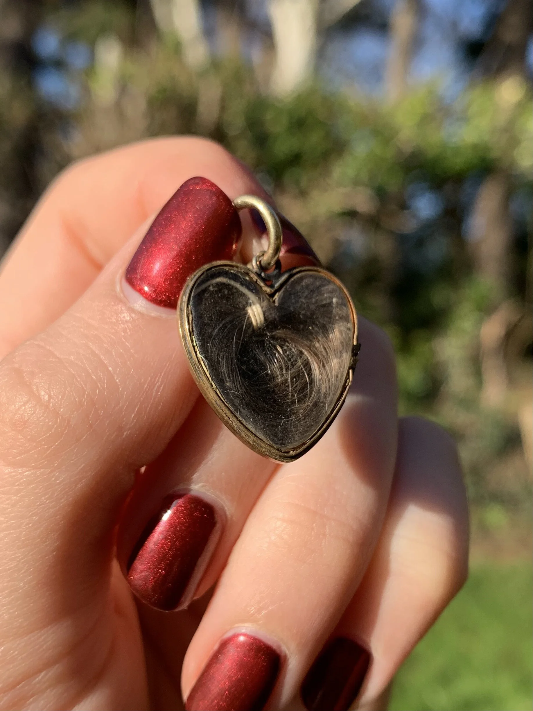 16CEBE79-2ECE-4C10-8C77-553FBE845B29