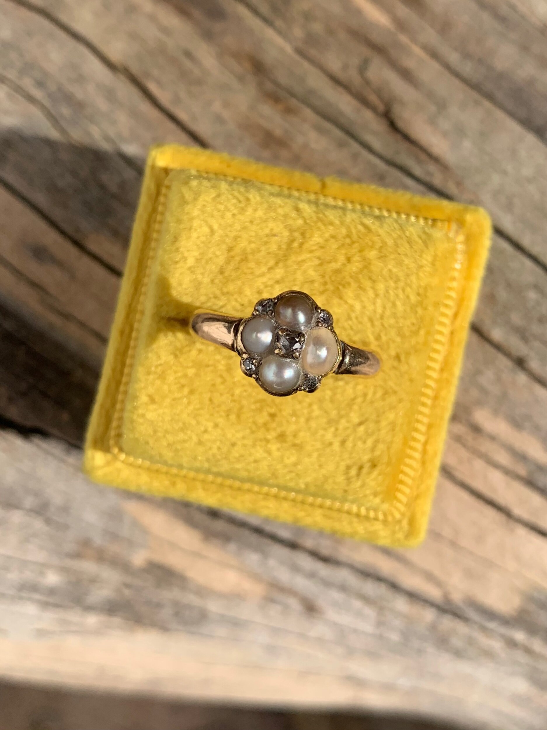 08AB27E1-5527-4769-B44D-596FA4992382