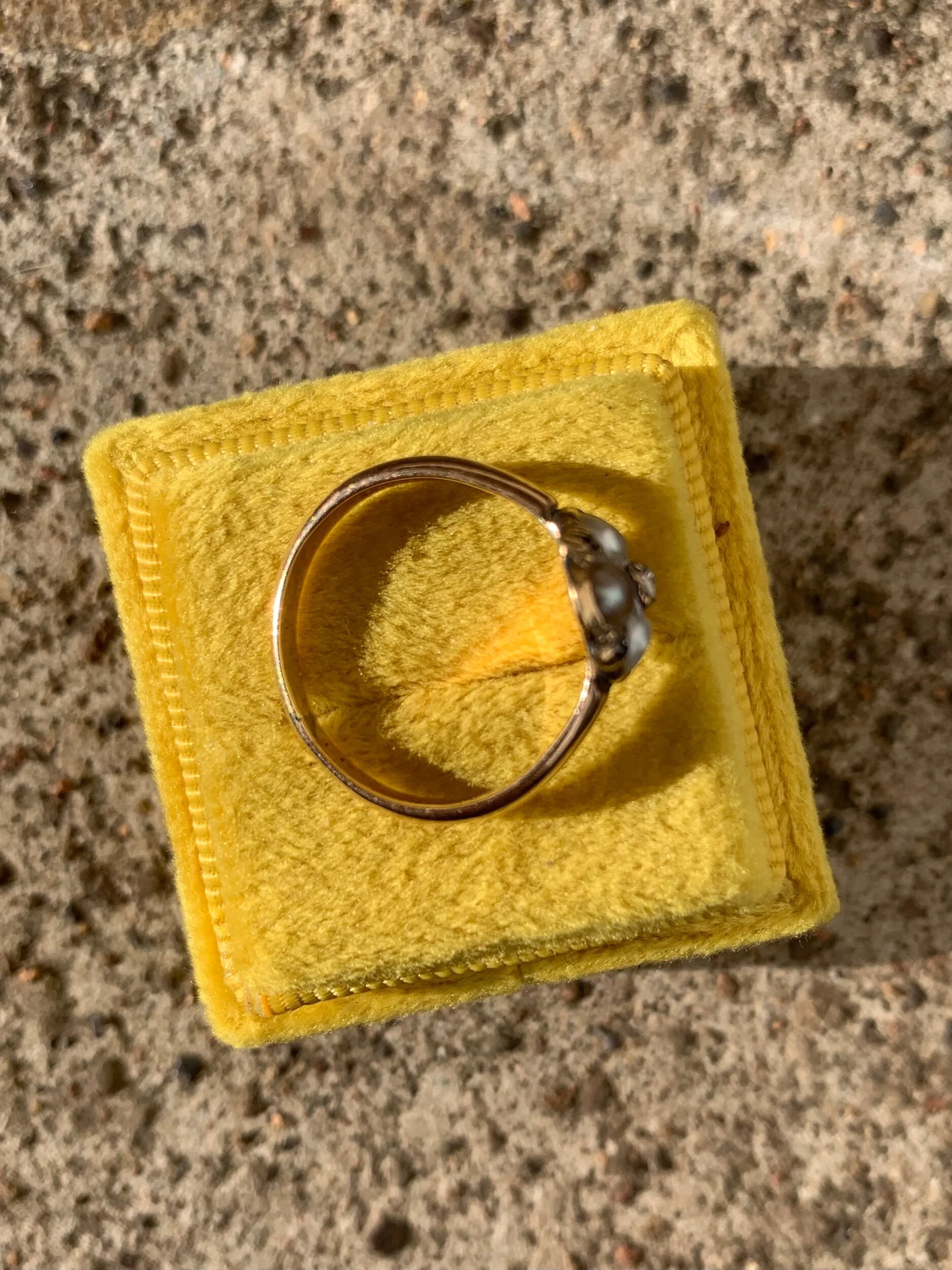 3939428E-B87D-4A93-9829-0C0BBAD2A312