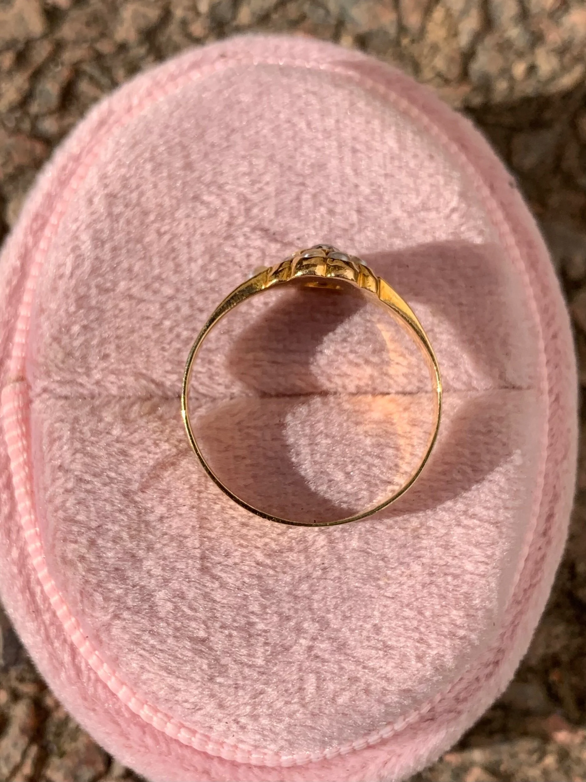 2F4DC6E2-EB4F-4023-B231-2D9D30DE5574