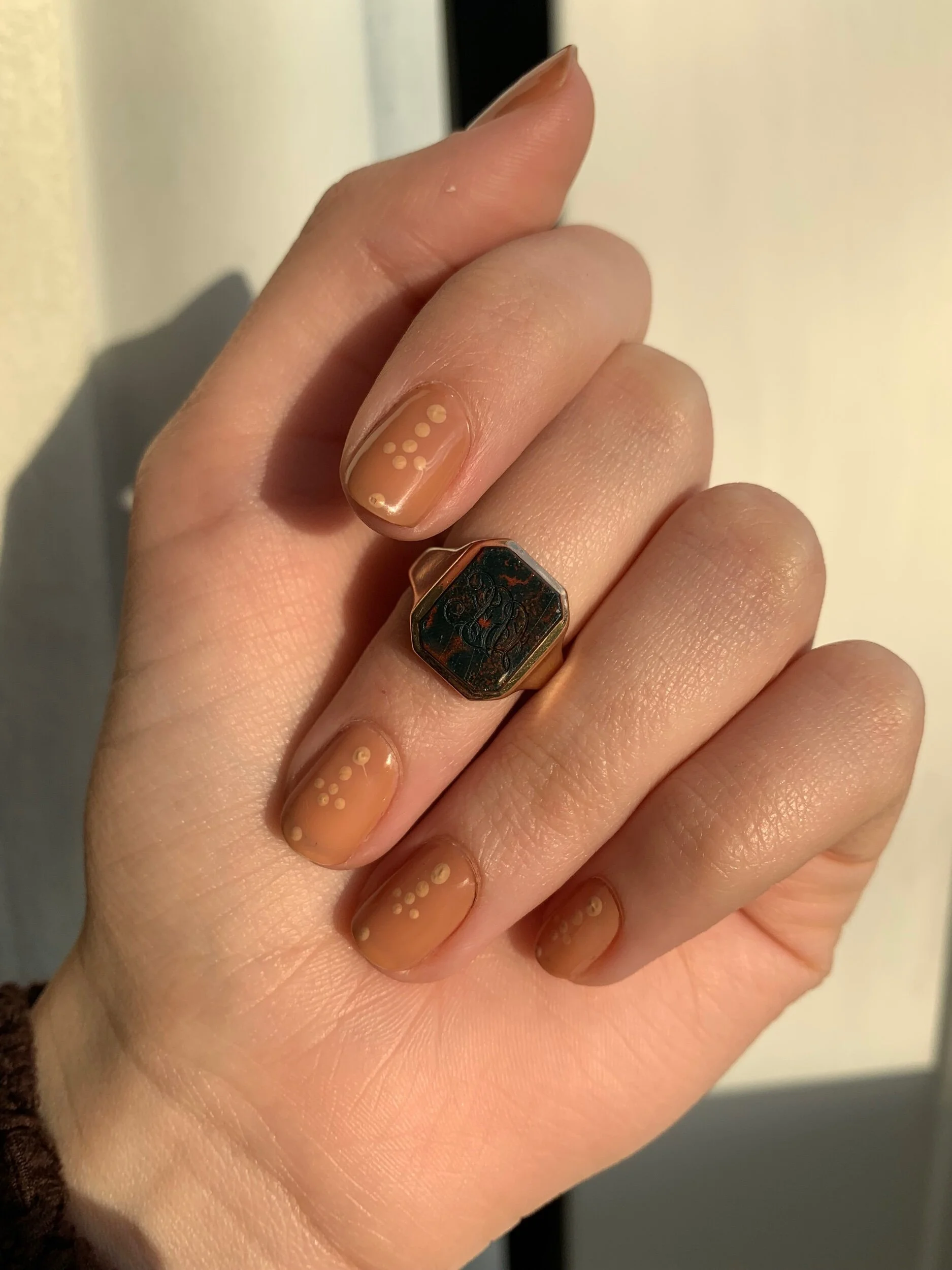 56101AF0-DC05-495F-B5A2-20D8405435FD