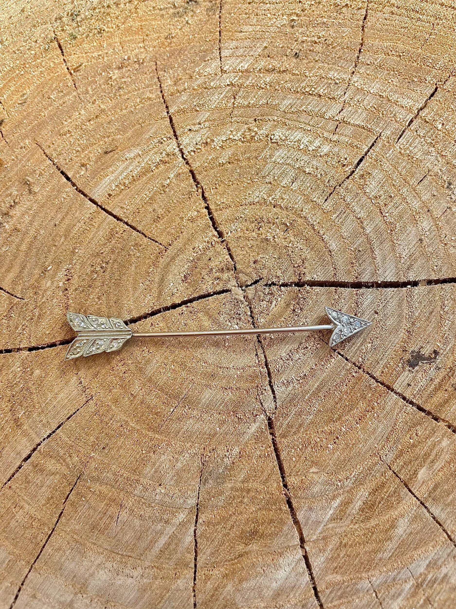 2FB7A9AE-6E47-4102-A328-27D5BB08367E