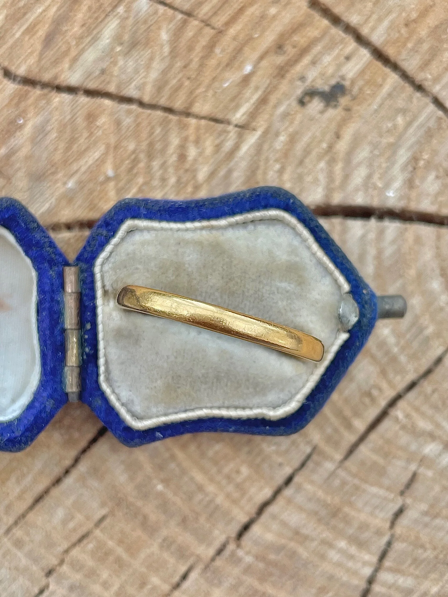 65C21A6F-88AE-455B-9A17-24F81F44F705