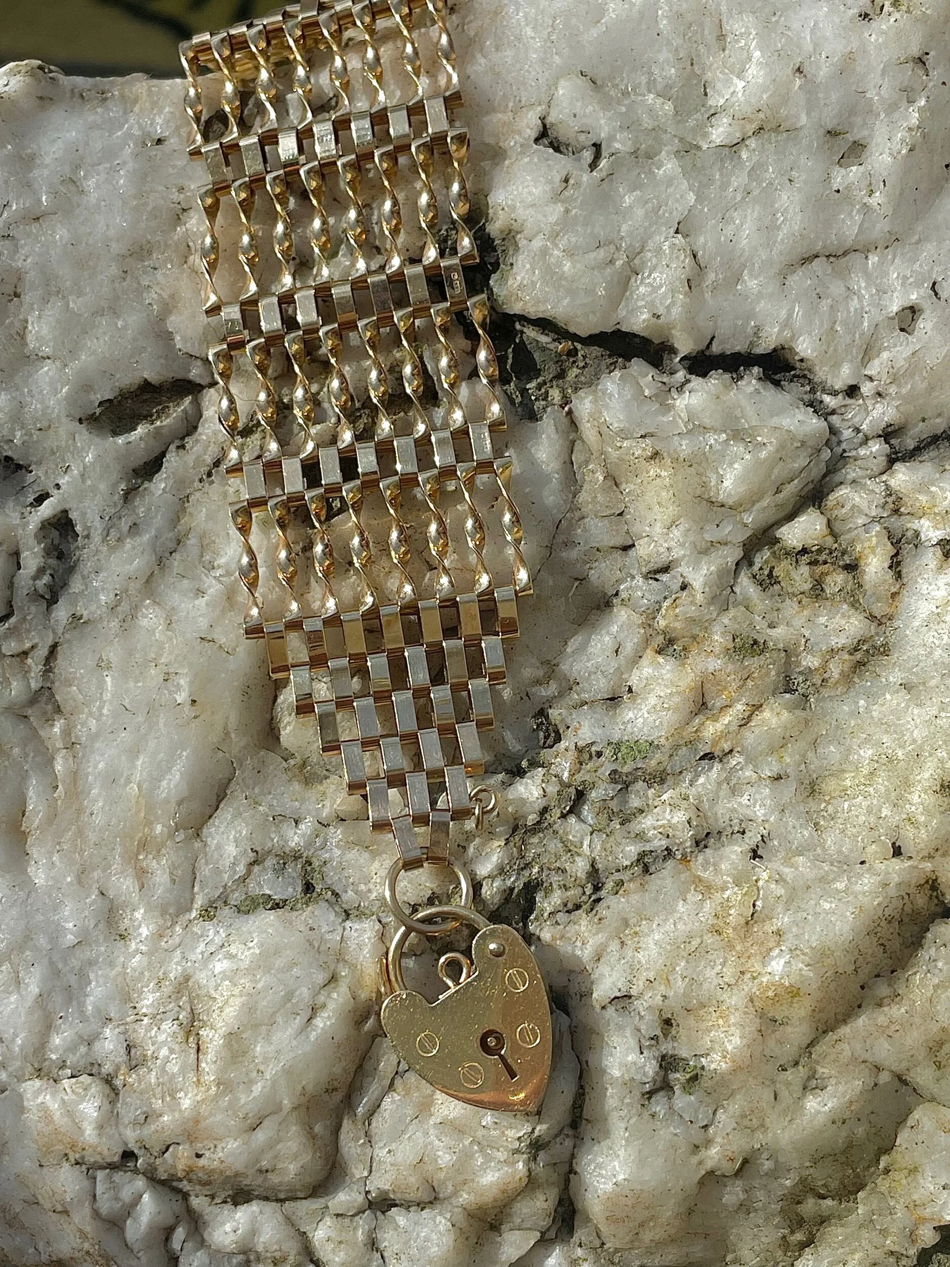 45DA5C98-F6C2-4DB3-8595-2D5FE0F2253B