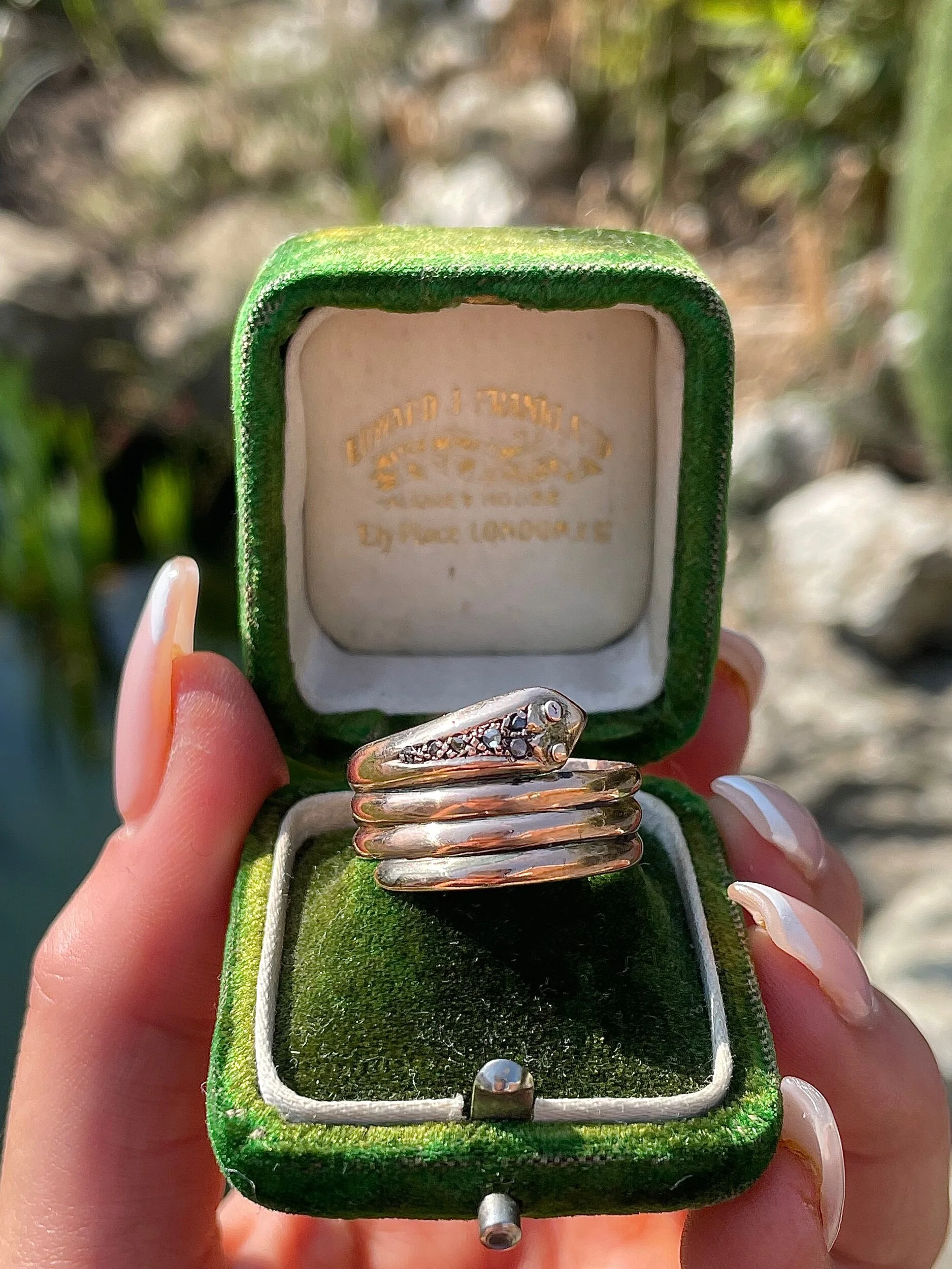 370BC18B-E4E4-47EF-BE4B-9E6B5A579B70