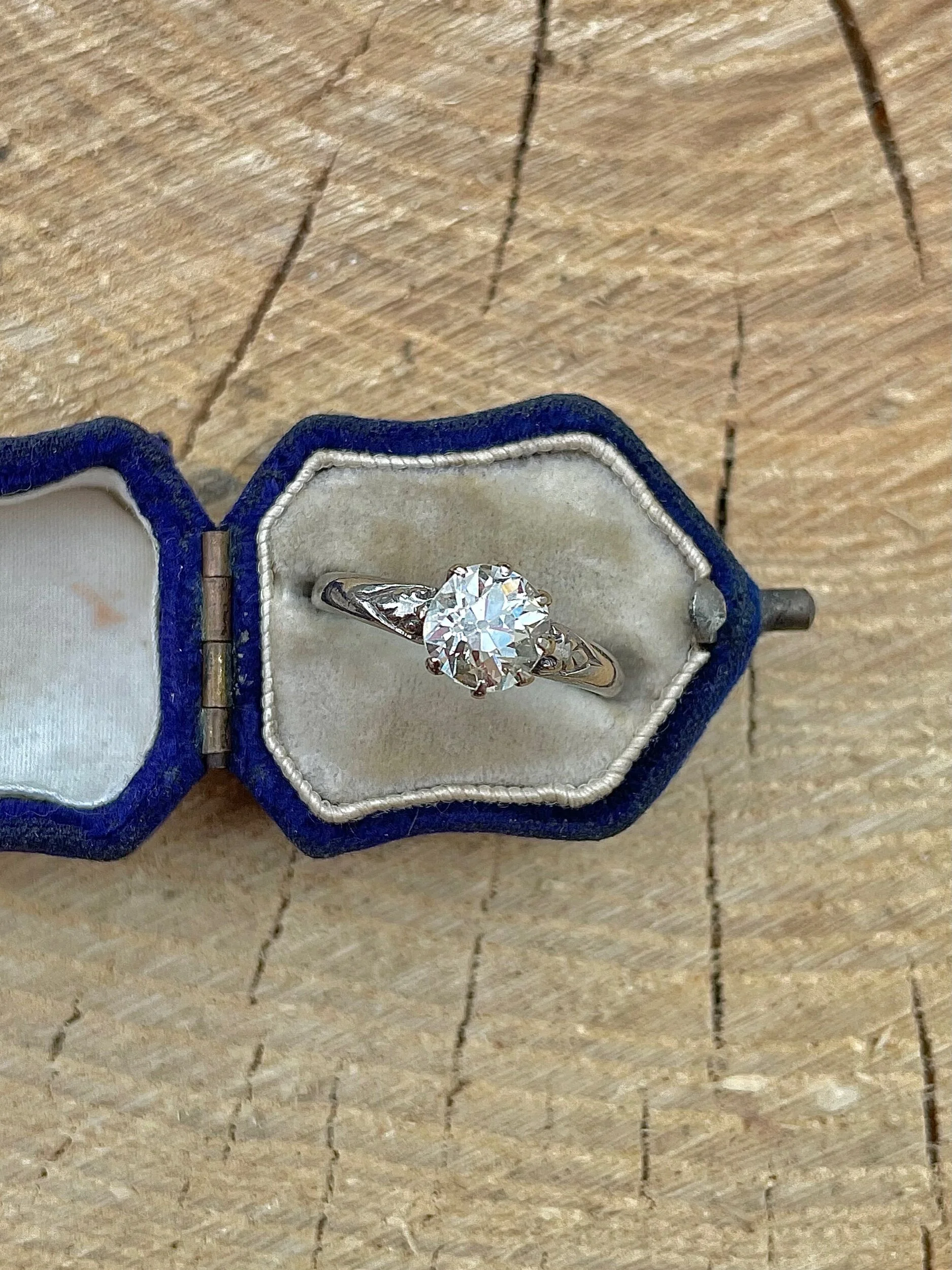 A8A78450-73C3-4D13-B6BF-2D67D6DA3284