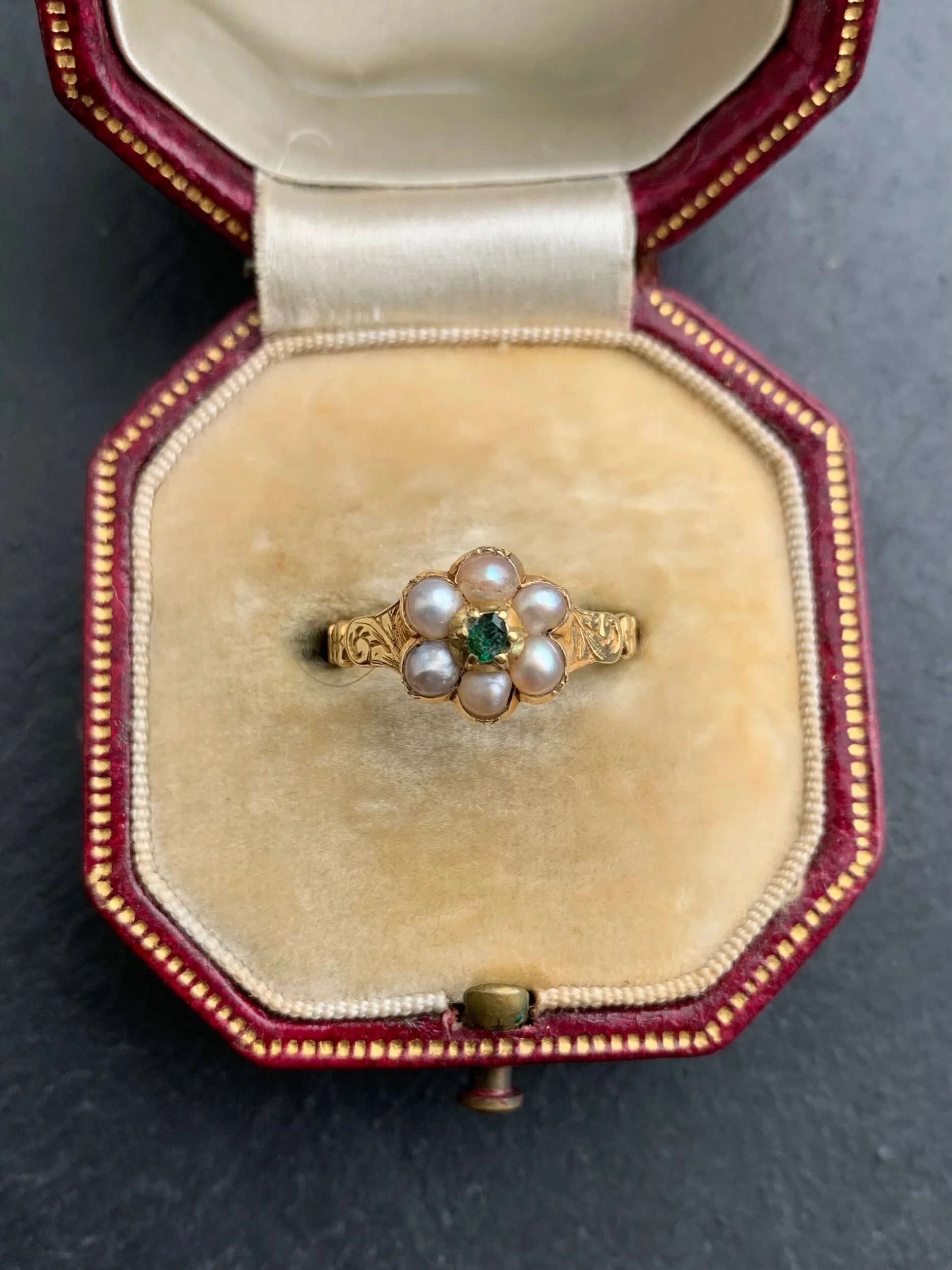 8D05233F-E77D-481C-9AA9-A0B7DBC9185D