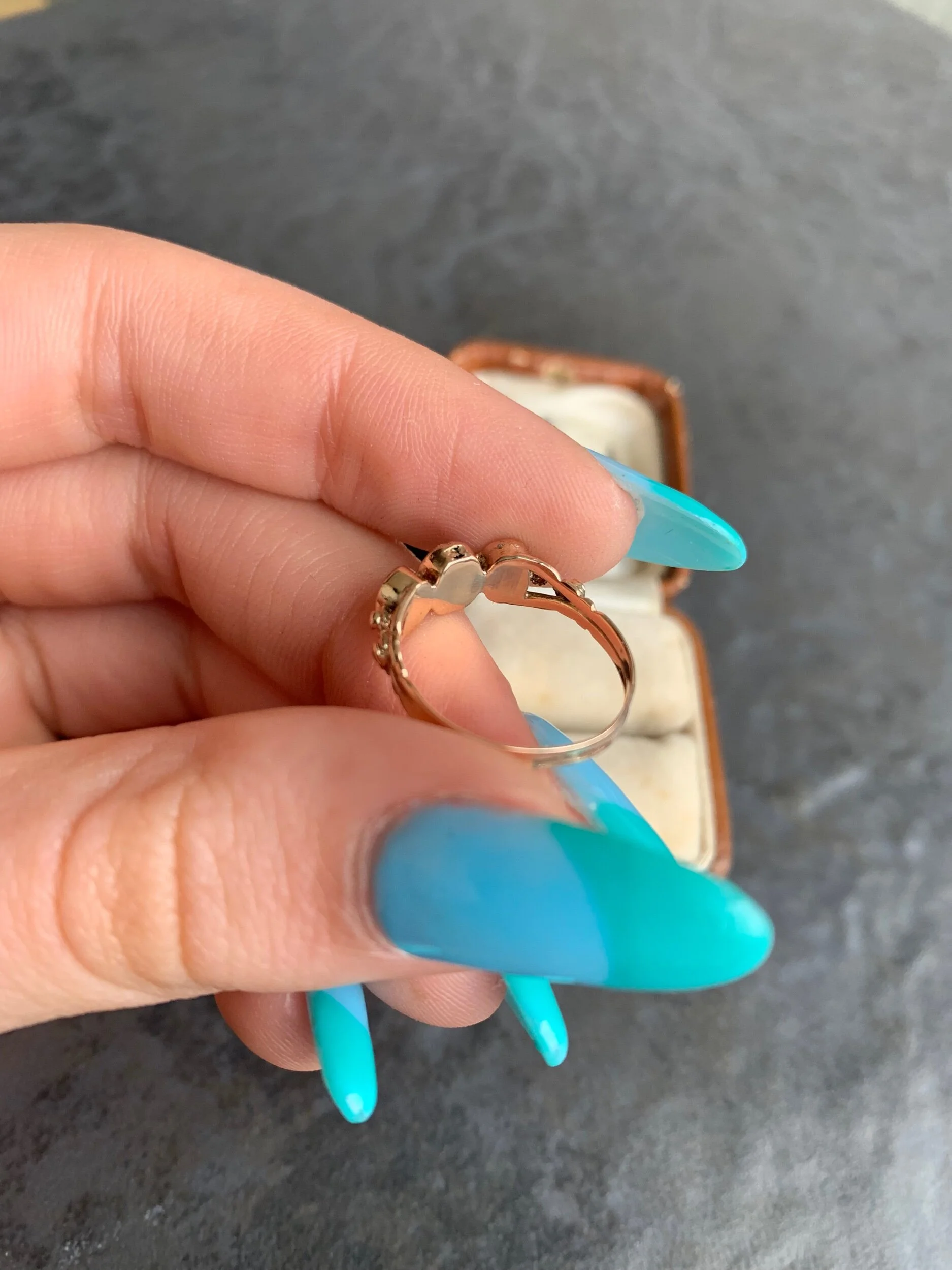 C38F82C6-5C4D-47FF-B727-0C7131DEC15C