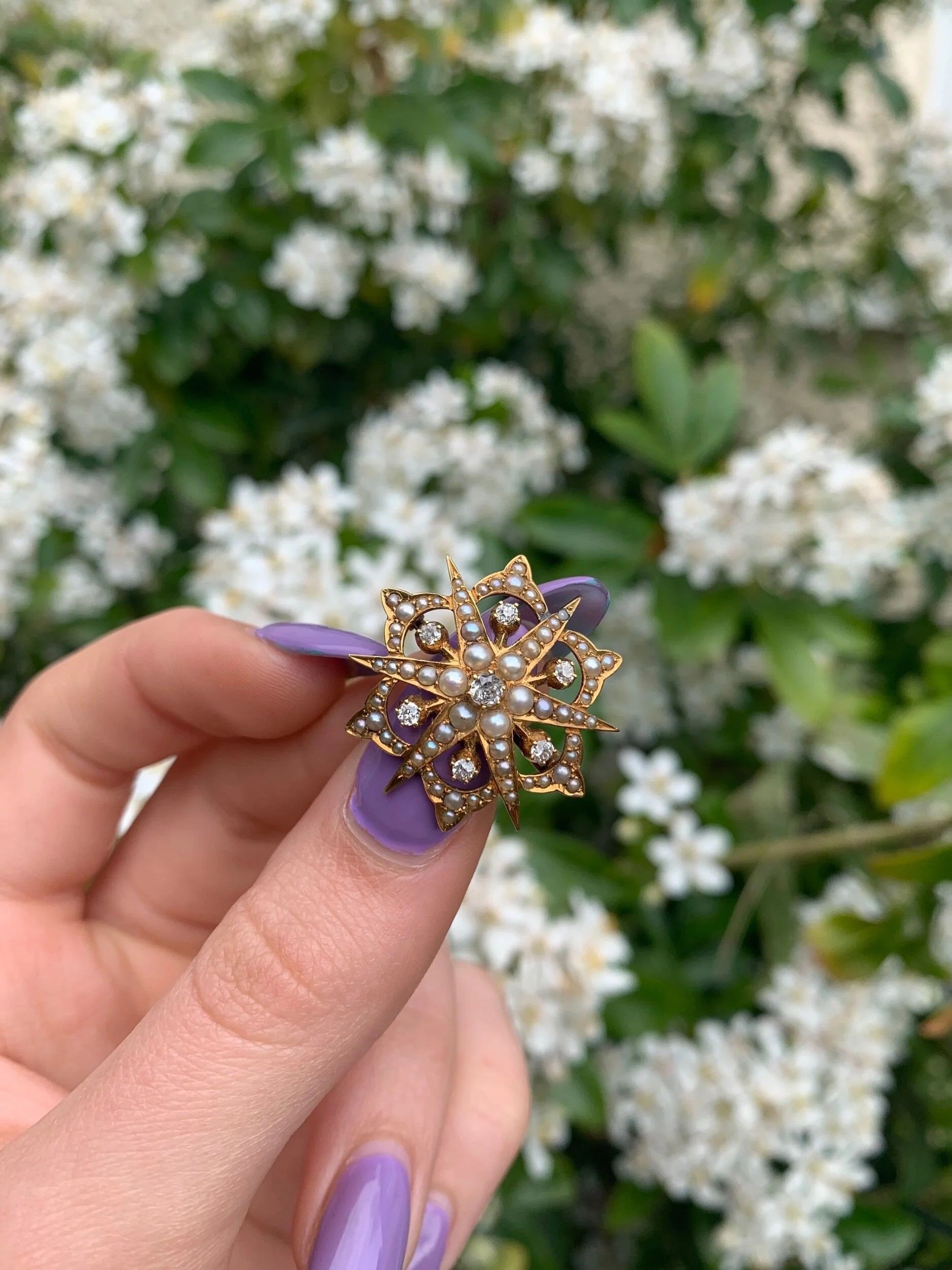 47B49D69-1D69-4DFB-8A31-0074ACDE64C2