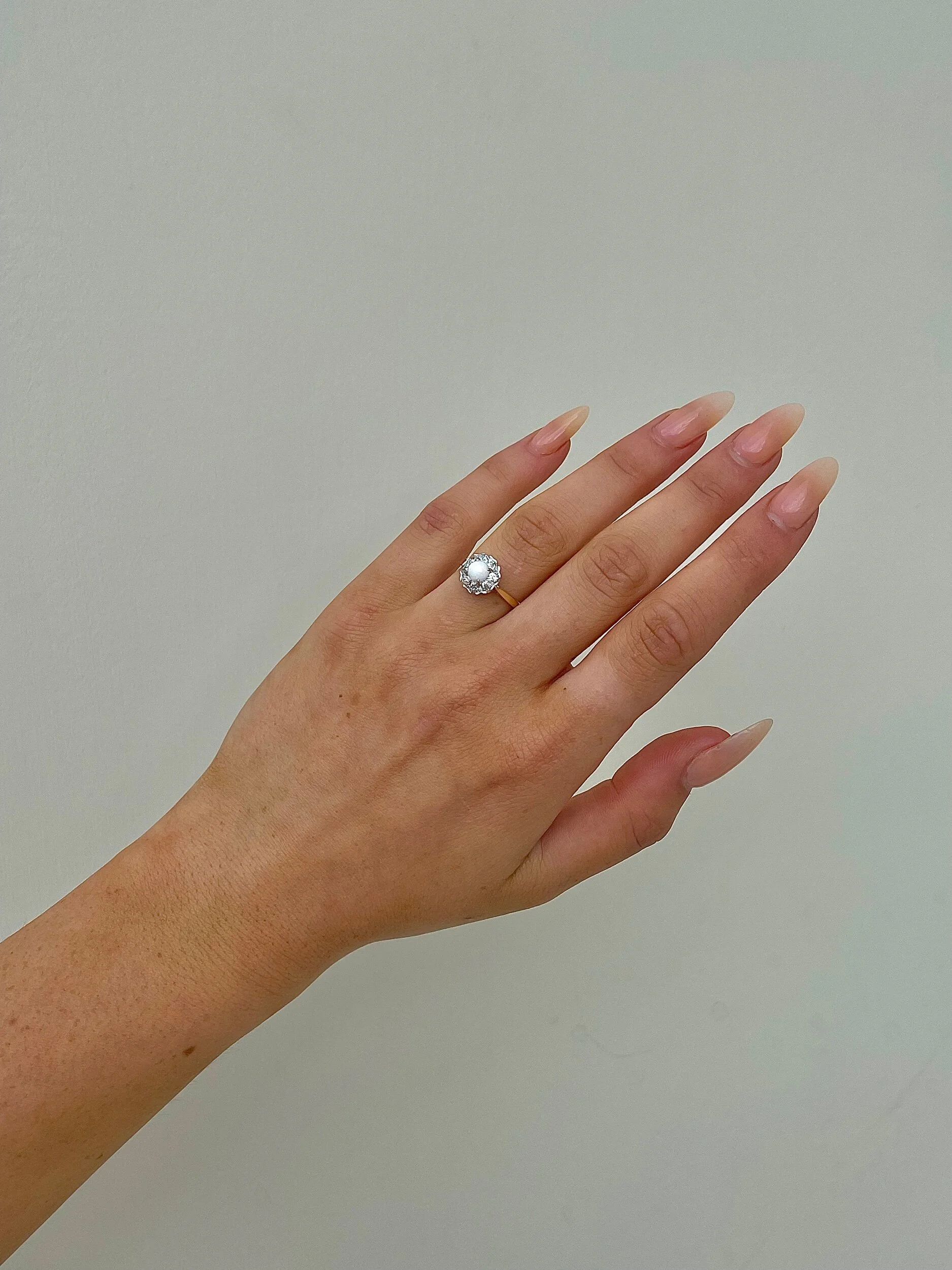 9C262108-45A0-45A4-9188-85D94BAFD786