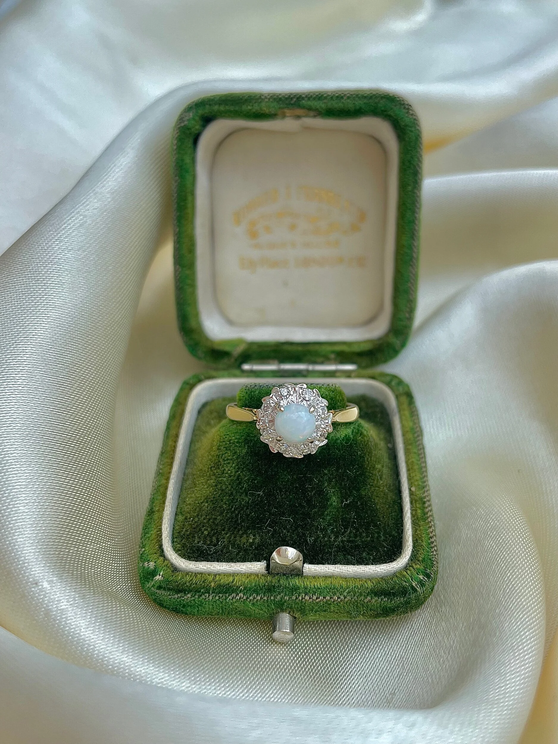 1DDC6657-6E9F-45AD-98A4-AE1C298094DB