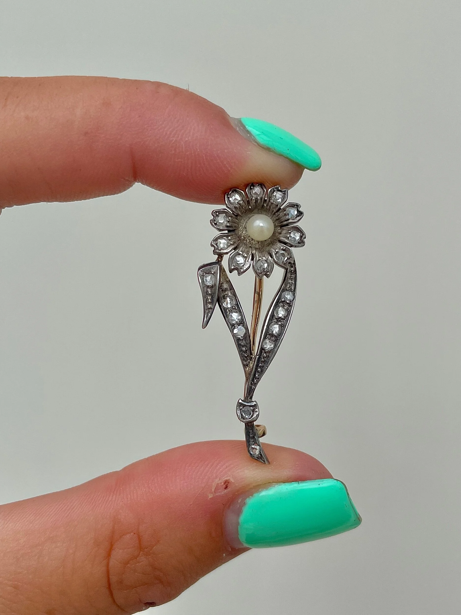 01F513CF-7CC2-4FDA-9AE2-D293FE40F755