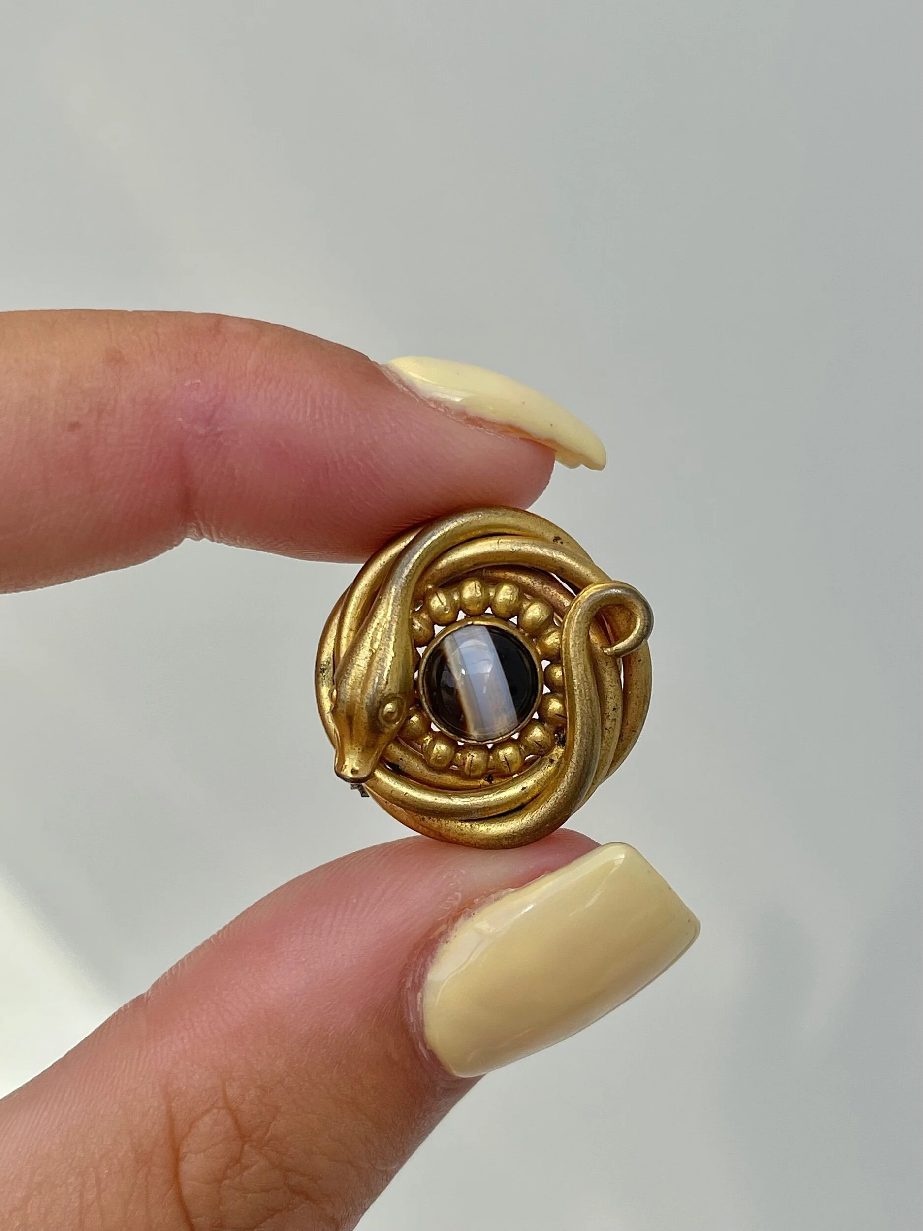 CA555530-409E-4DAE-84D3-63D7D775644B